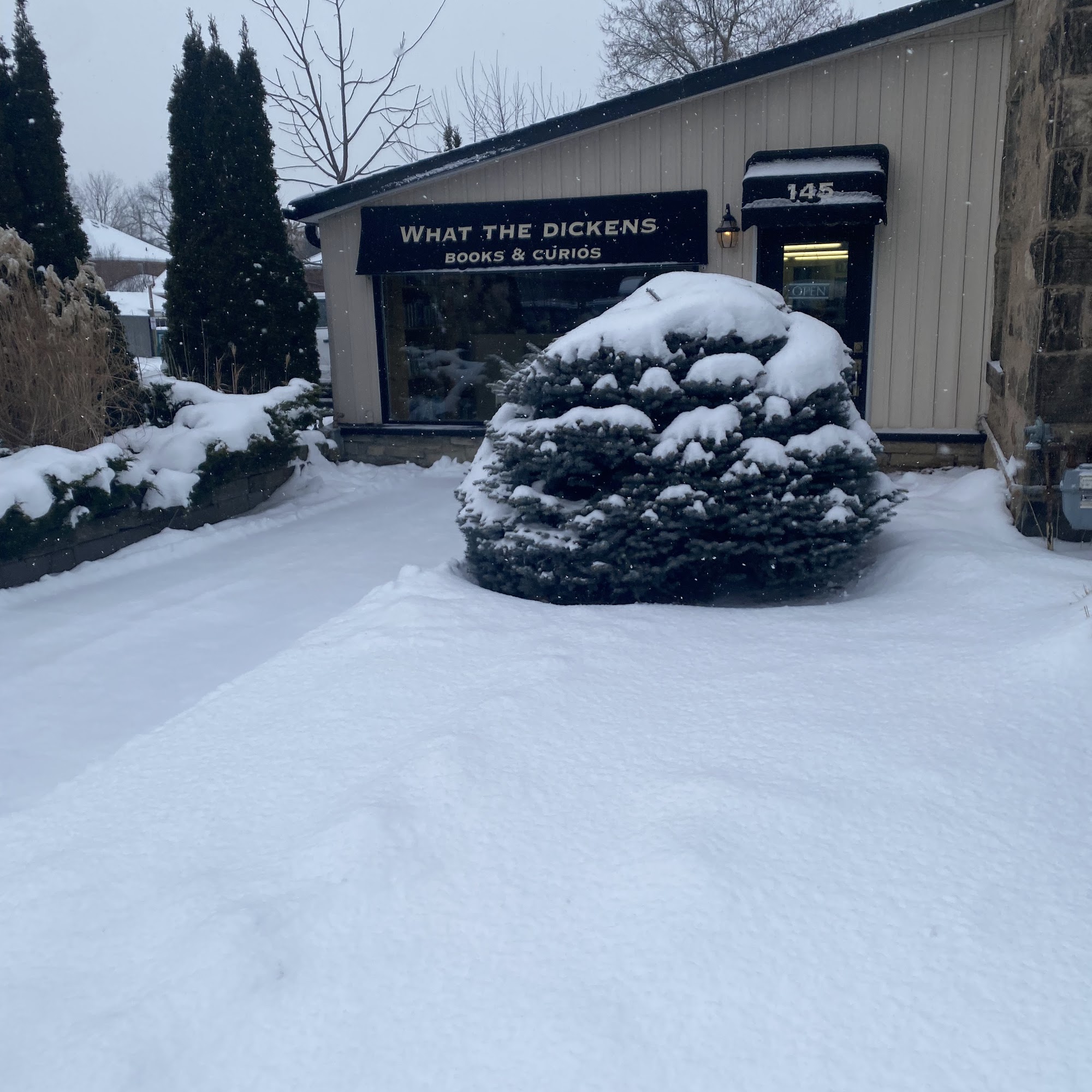 What the Dickens Books & Curios Acton