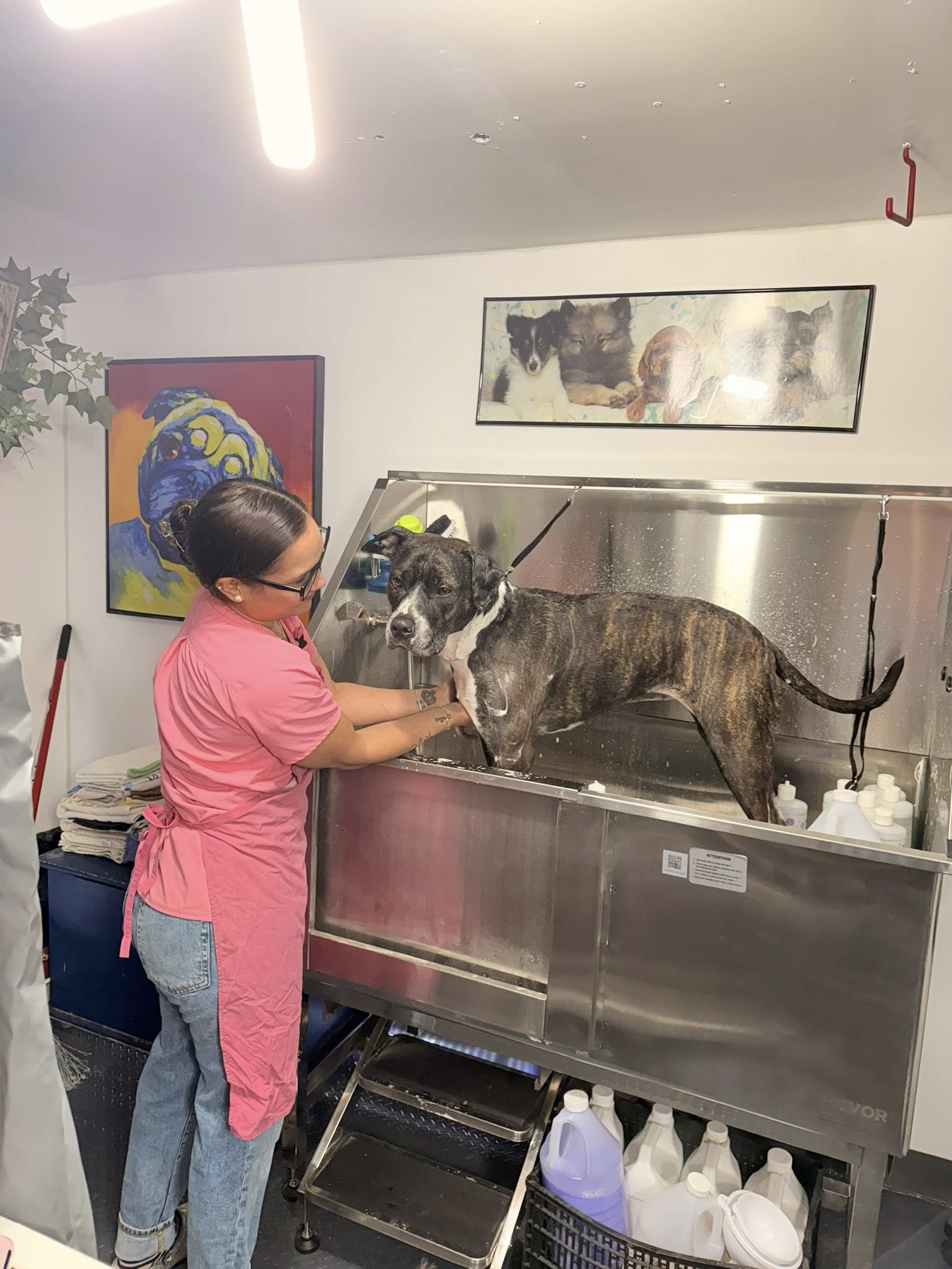 The Puppy's Place Ajax