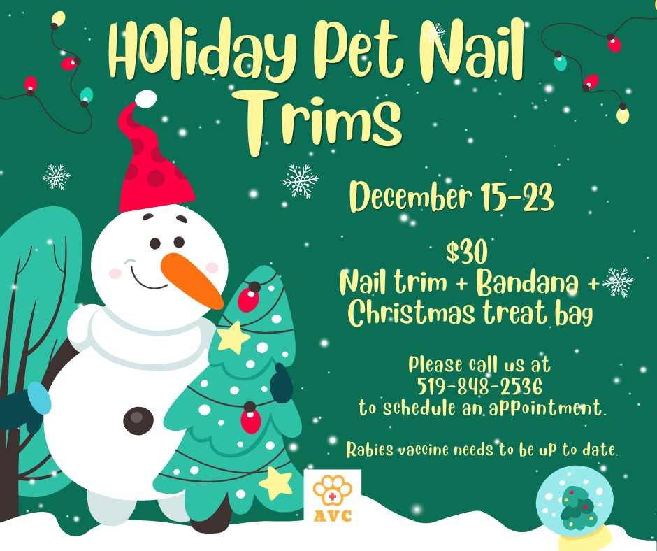 Arthur Veterinary Clinic Arthur