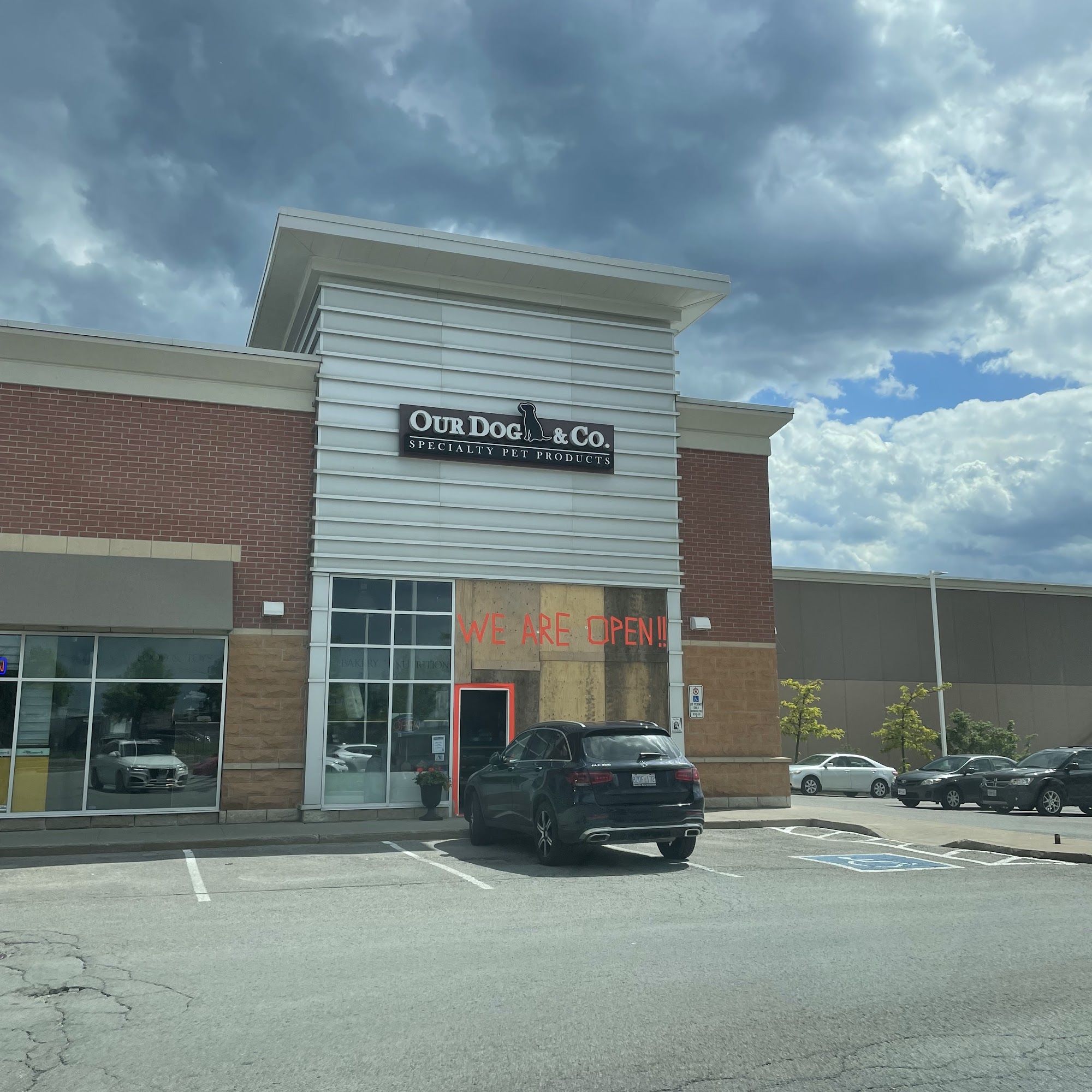 Our Dog & Company Aurora