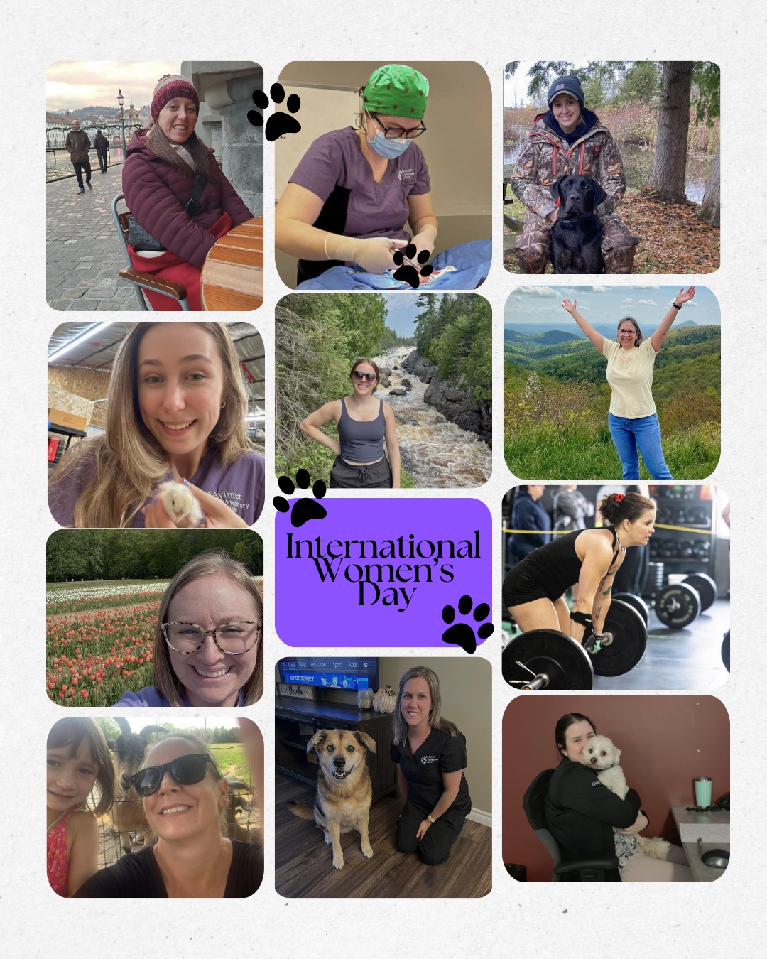 Aylmer Veterinary Clinic Aylmer