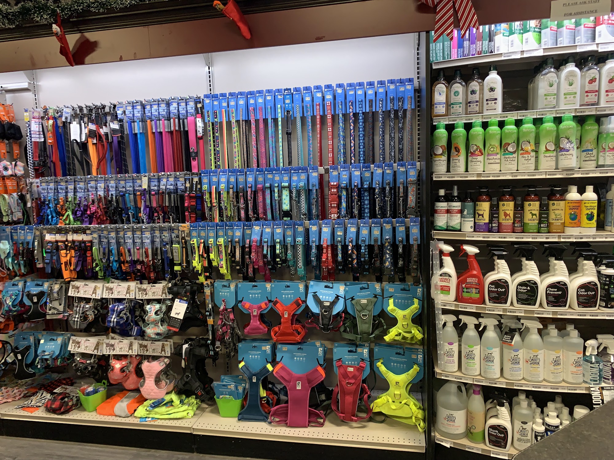 Global Pet Foods Barrie