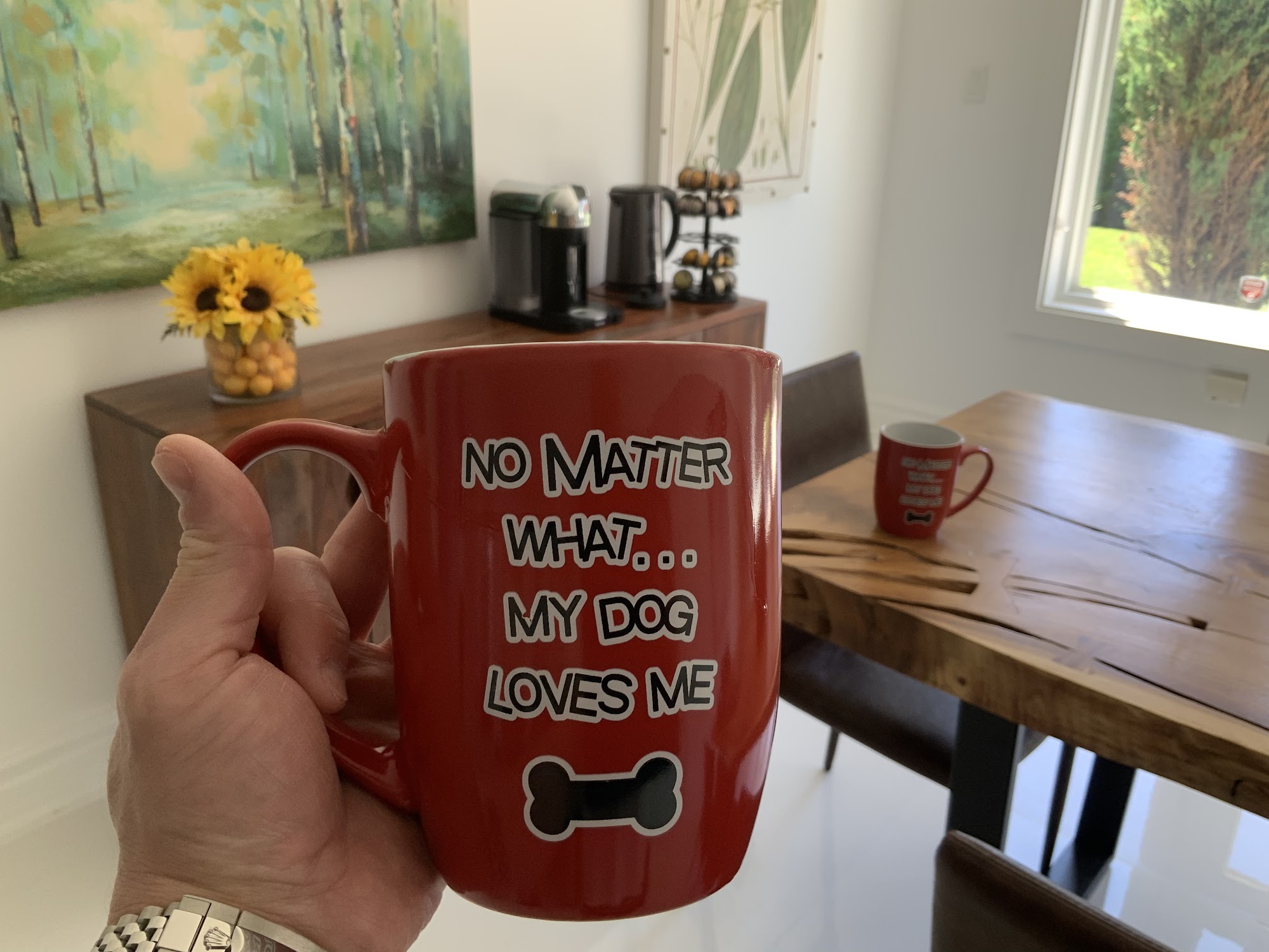 The Whistle Stop Pet Shop Barrie