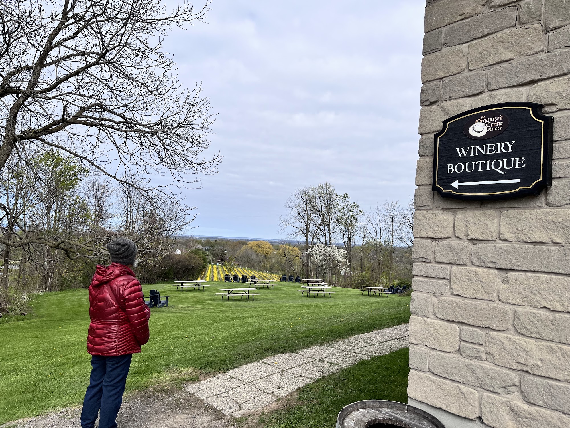 The Organized Crime Winery Menu