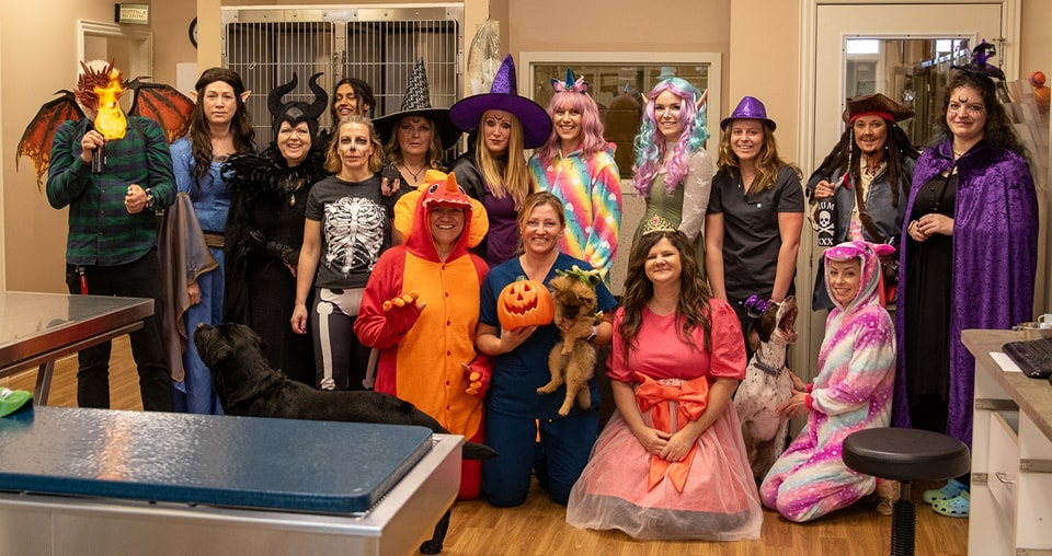 Beaverton Crossroads Veterinary Services Beaverton