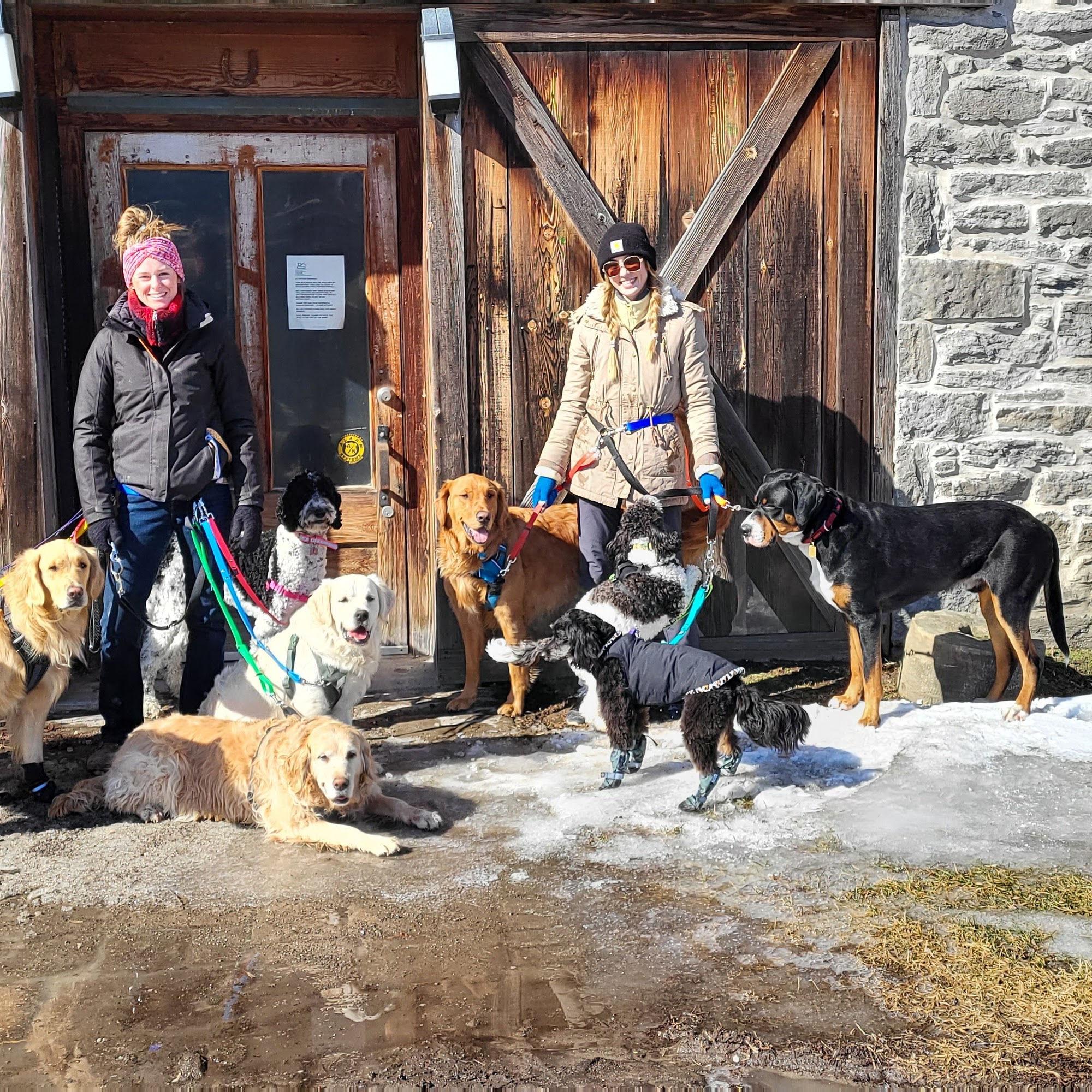 Furball's Choice Belleville