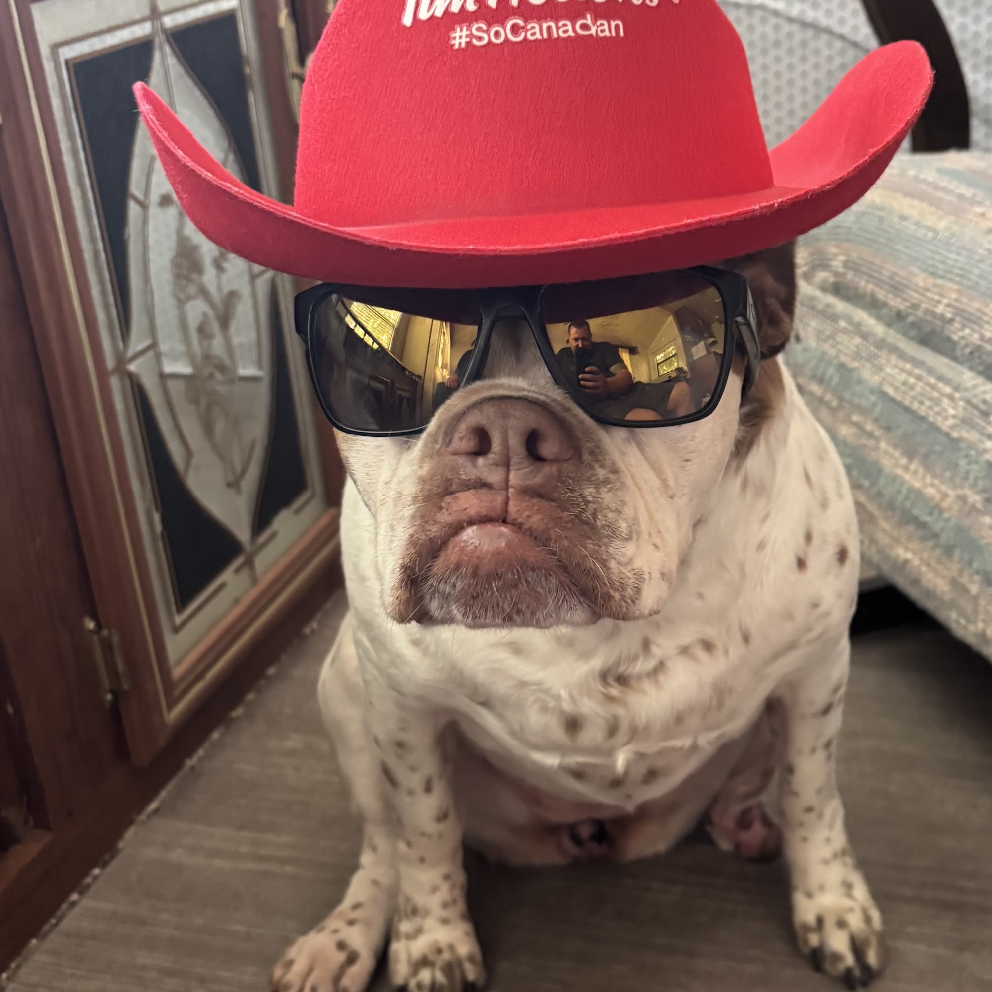 pawz 'N' clawz Bobcaygeon