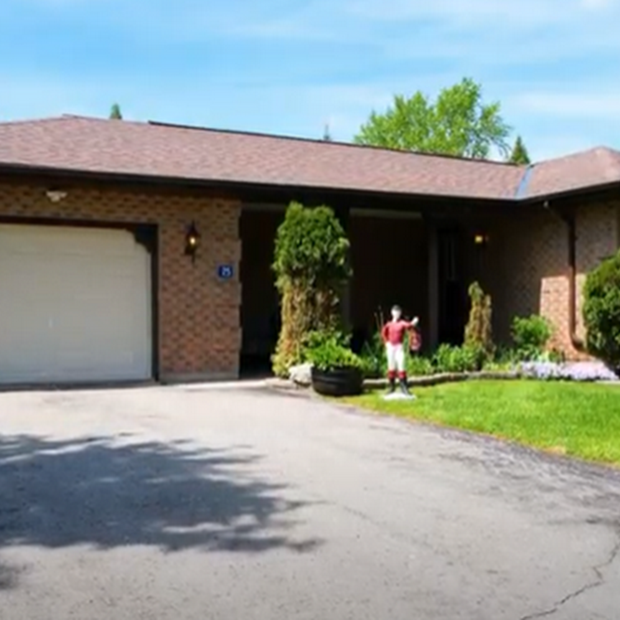 All In One Pet Care Dog Grooming Bobcaygeon