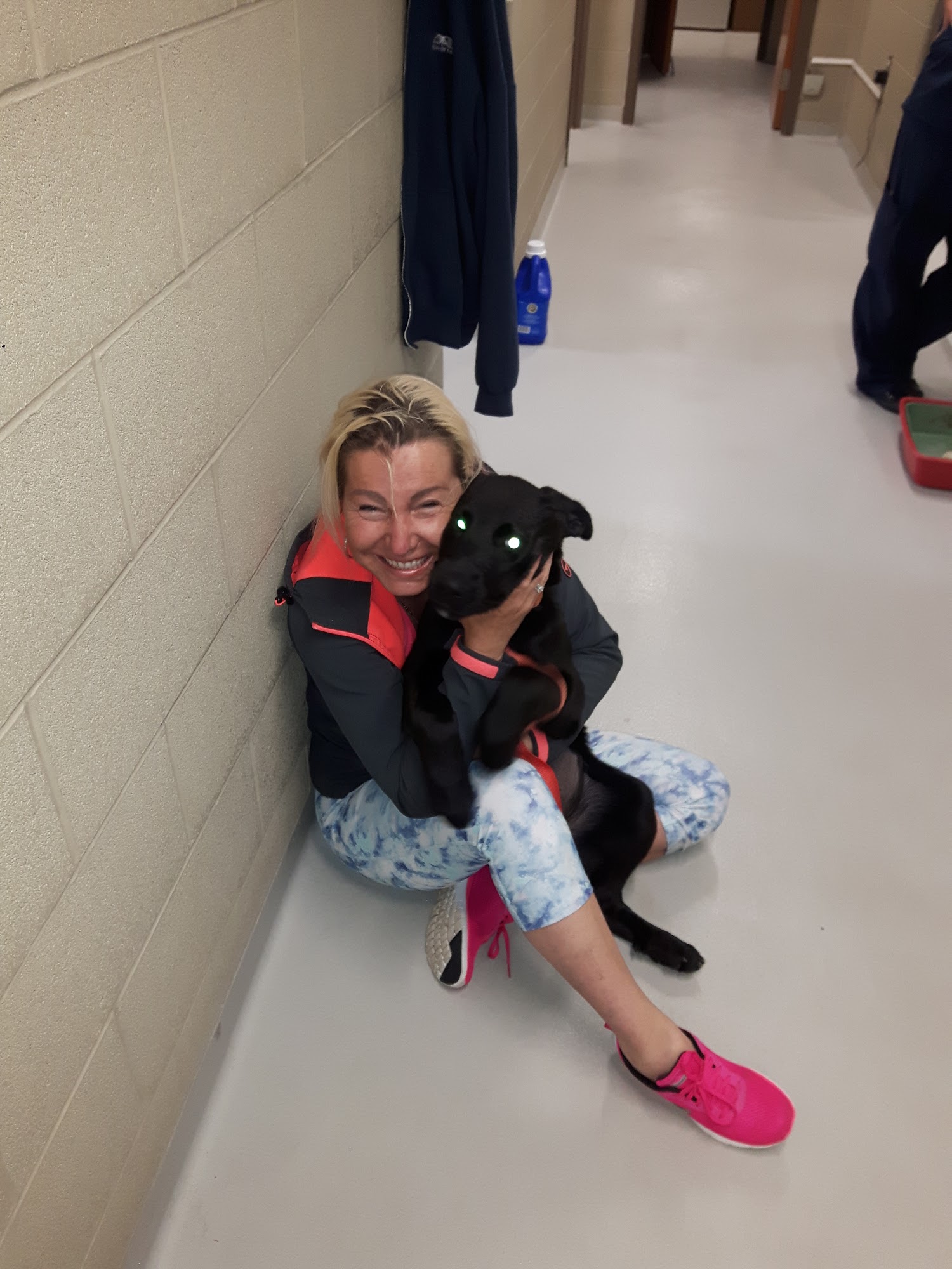 Caledon Animal Shelter Bolton