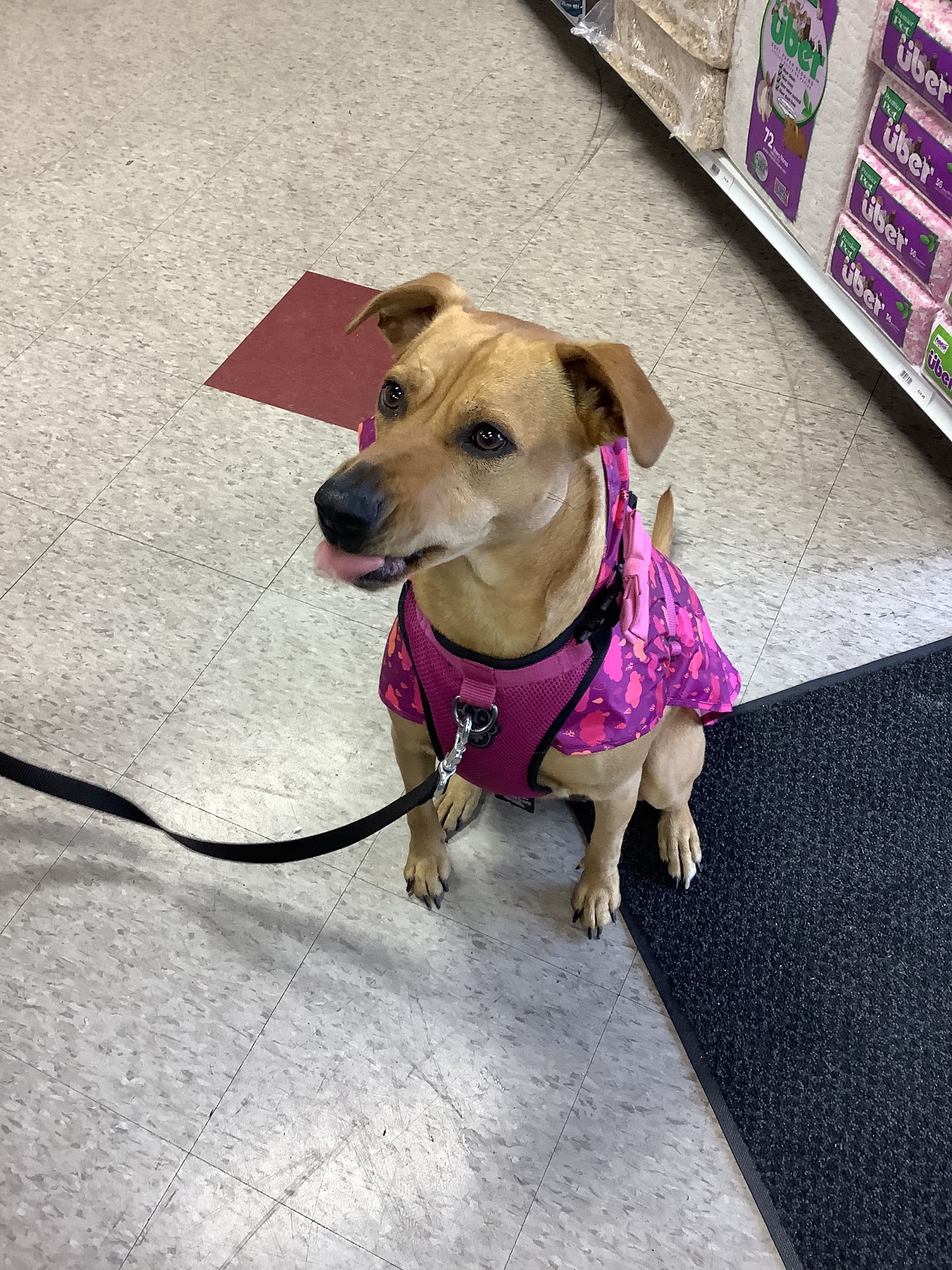 Global Pet Foods Bowmanville