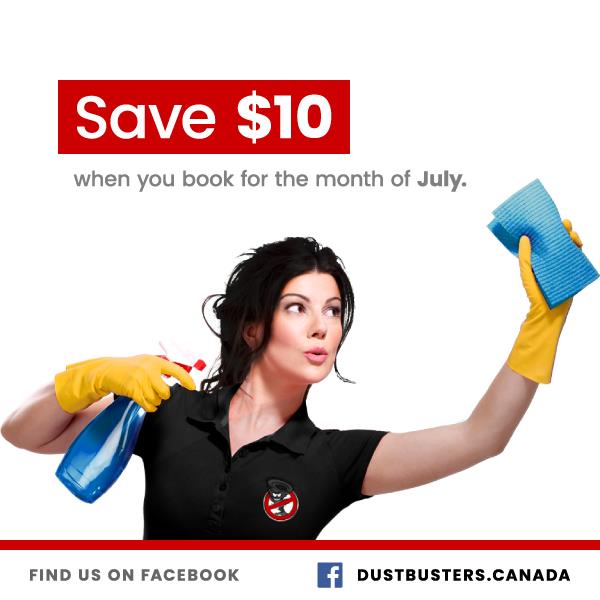 The Dust Busters Cleaning Company