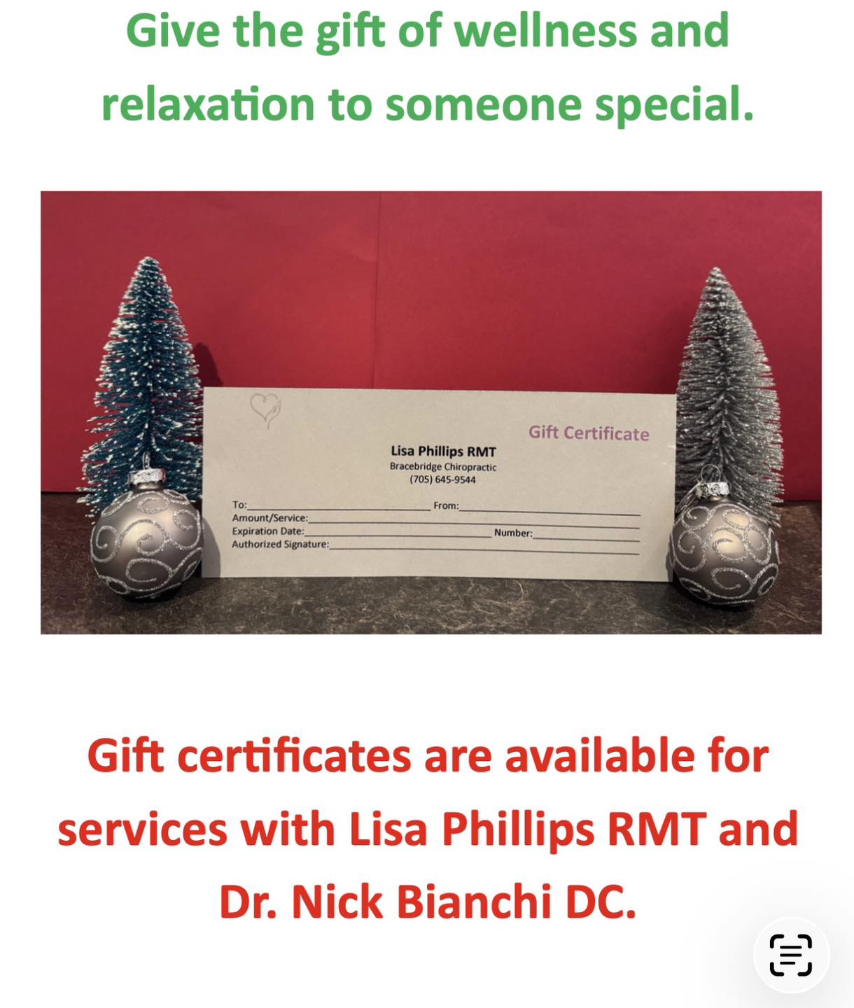 Bracebridge Chiropractic & Wellness Centre