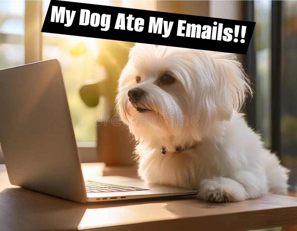 Paws Fur Tails Pet Spa Brampton