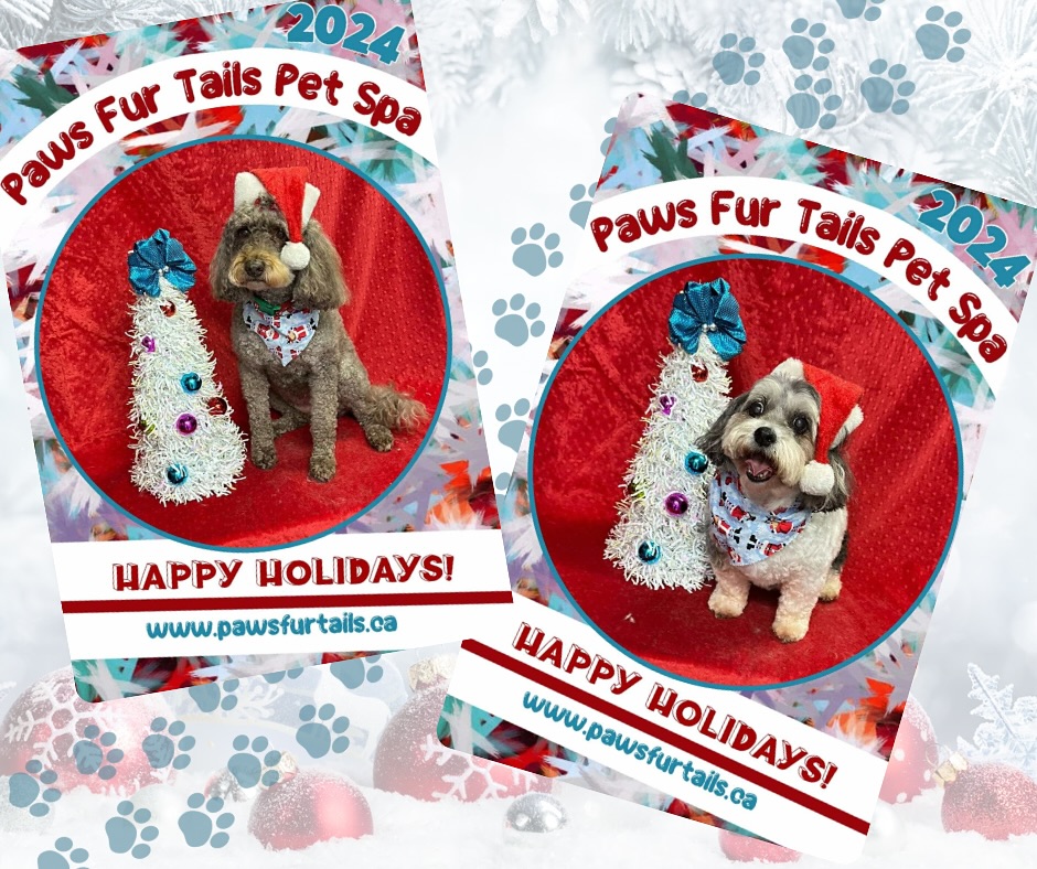 Paws Fur Tails Pet Spa Brampton