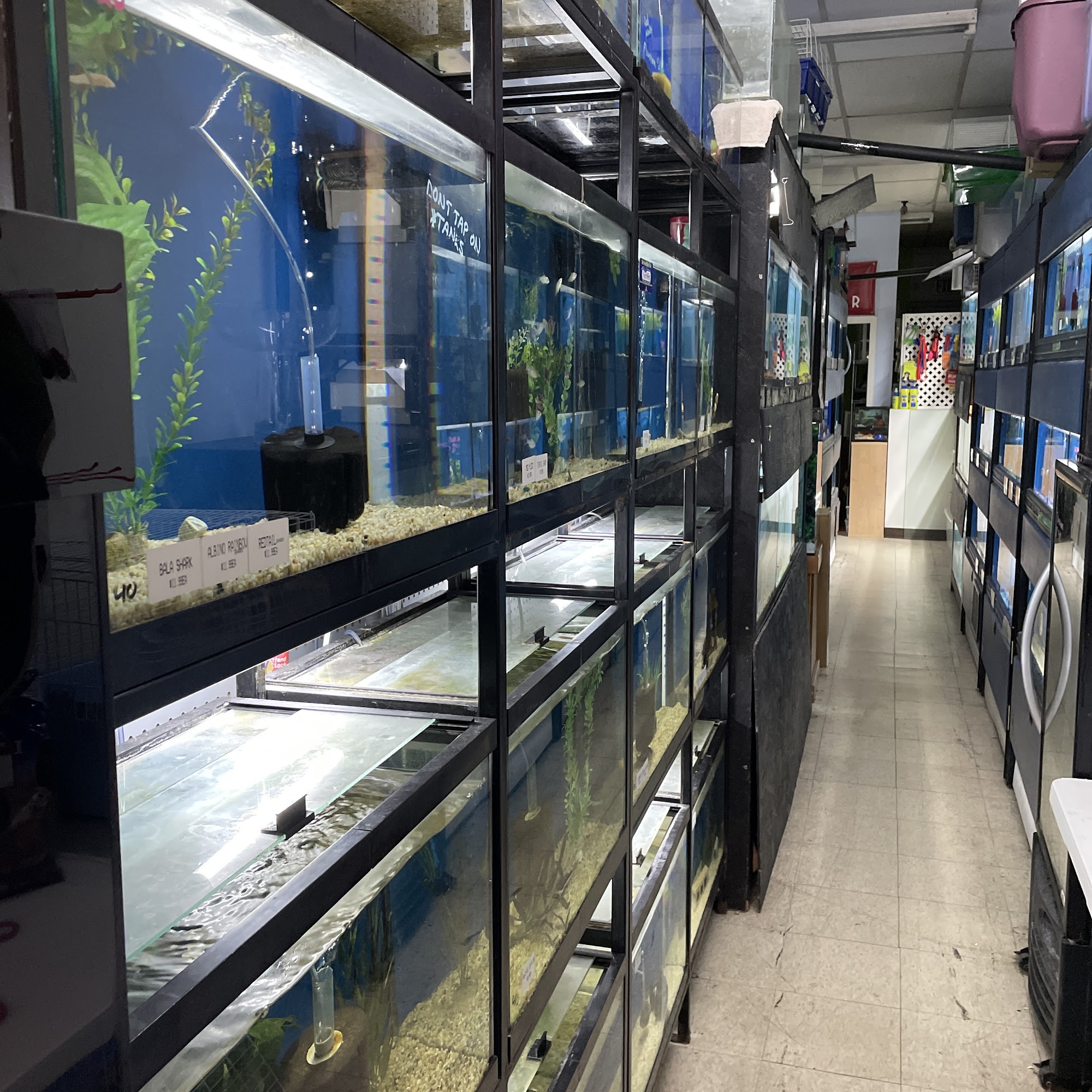 Wild Fish Aquarium(pet shop) Brampton
