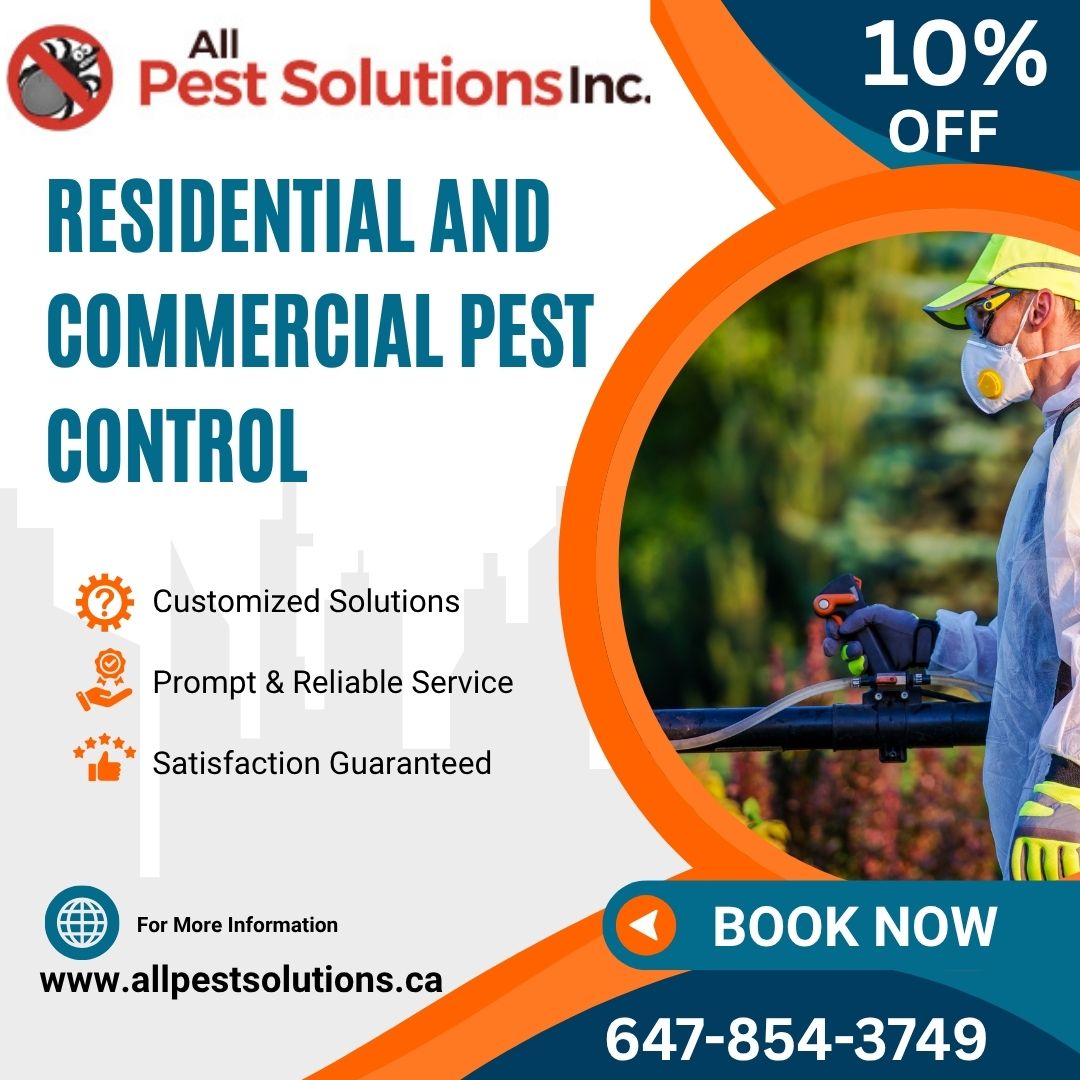 All Pest Solutions Inc - Best Pest Control Services in Brampton