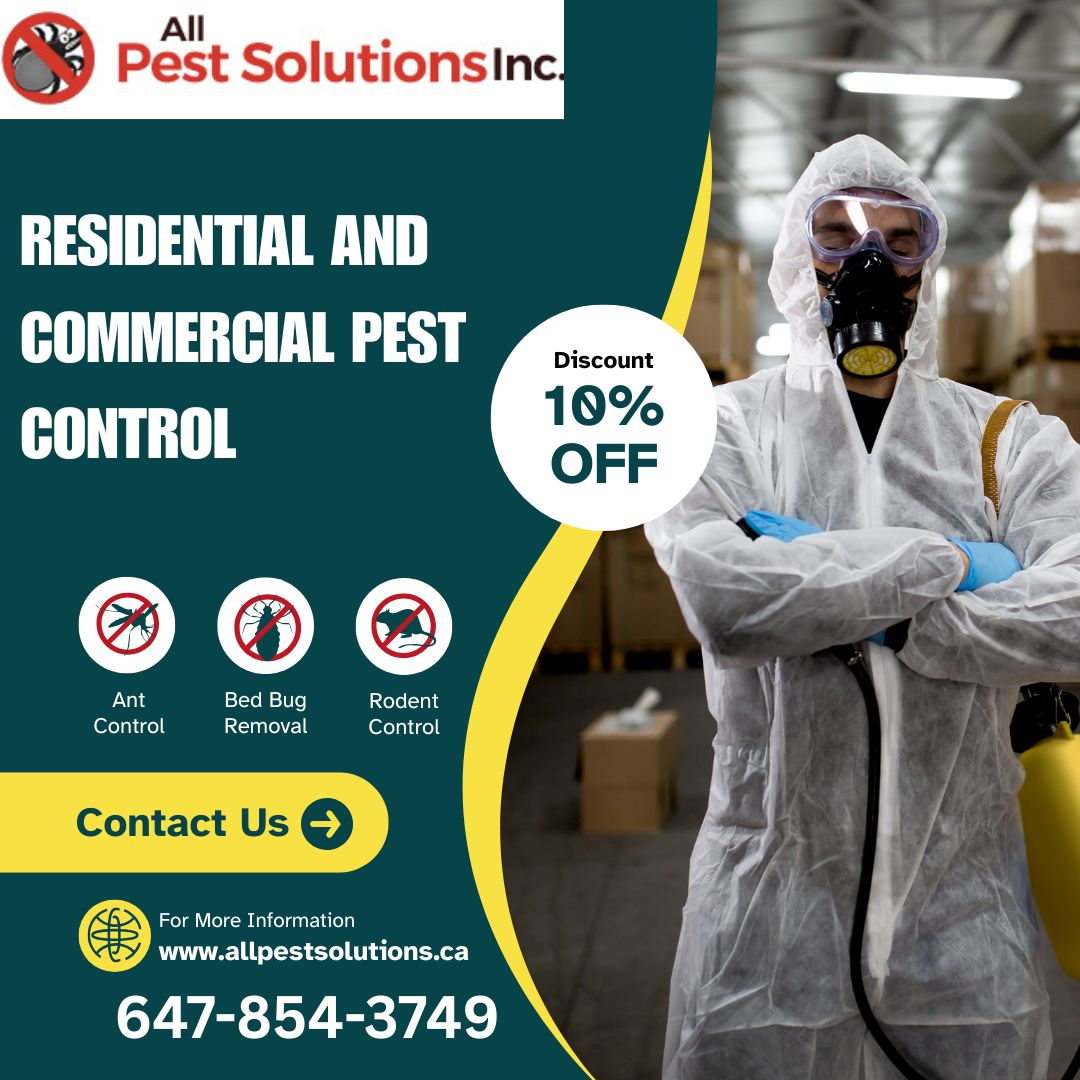 All Pest Solutions Inc - Best Pest Control Services in Brampton