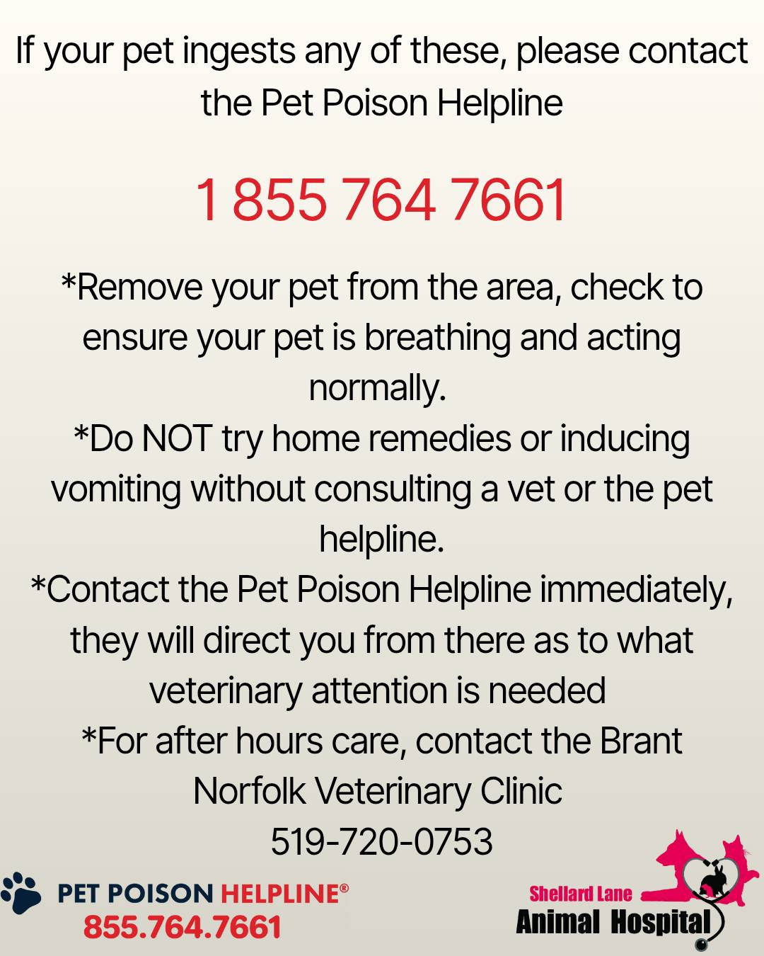 Shellard Lane Animal Hospital Brantford