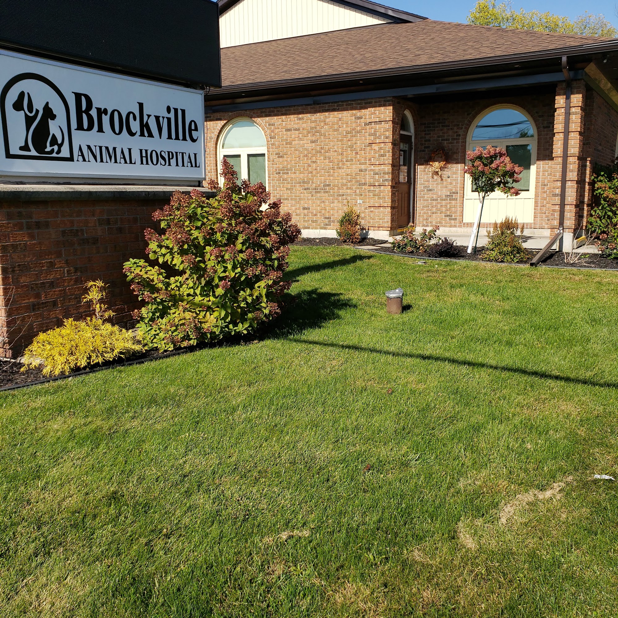 Brockville Animal Hospital Brockville