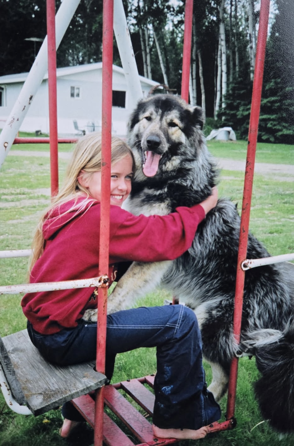 VCA Canada Bay Cities Animal Hospital Burlington