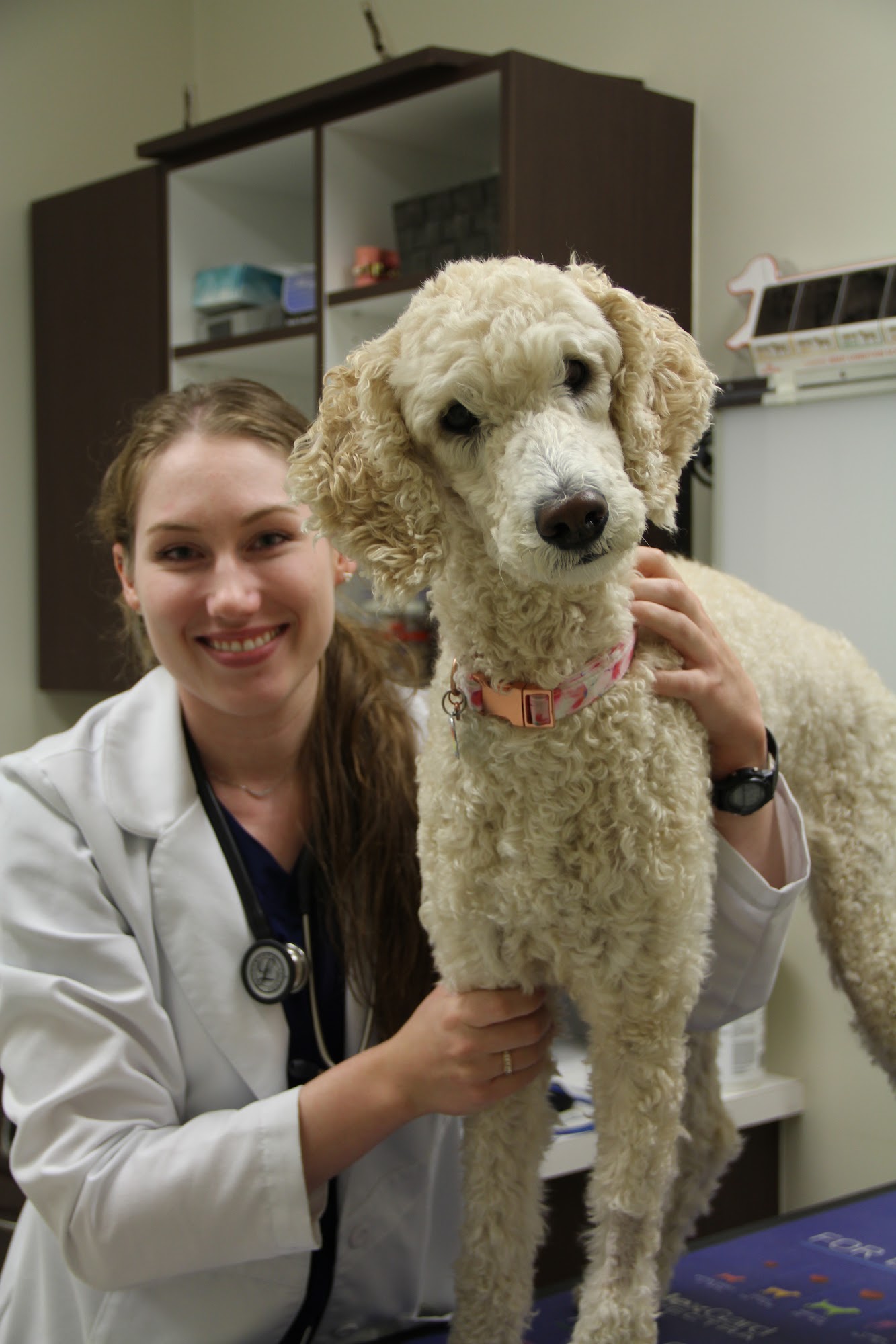 MacKay's Animal Hospital Burlington