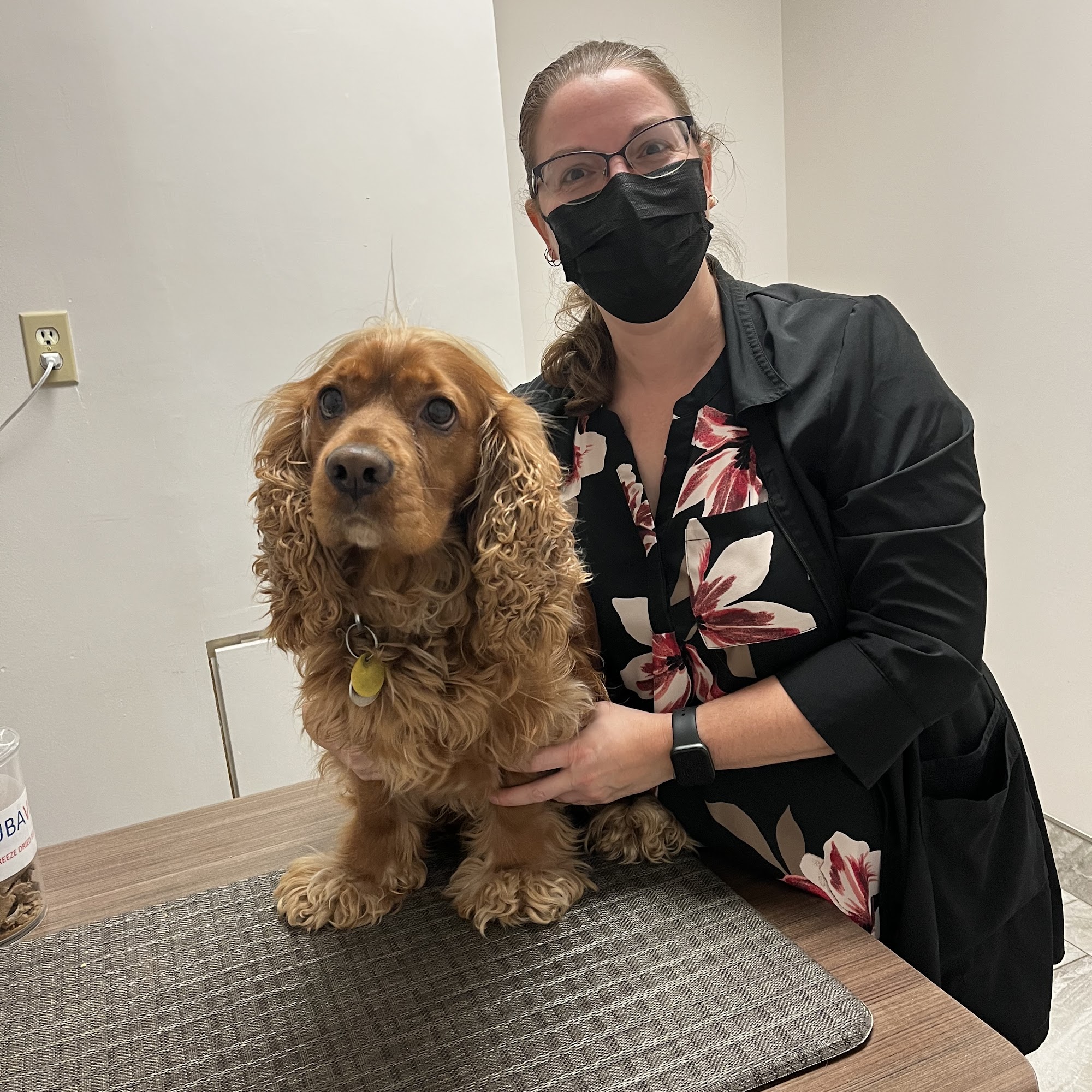 Brant Animal Clinic Burlington