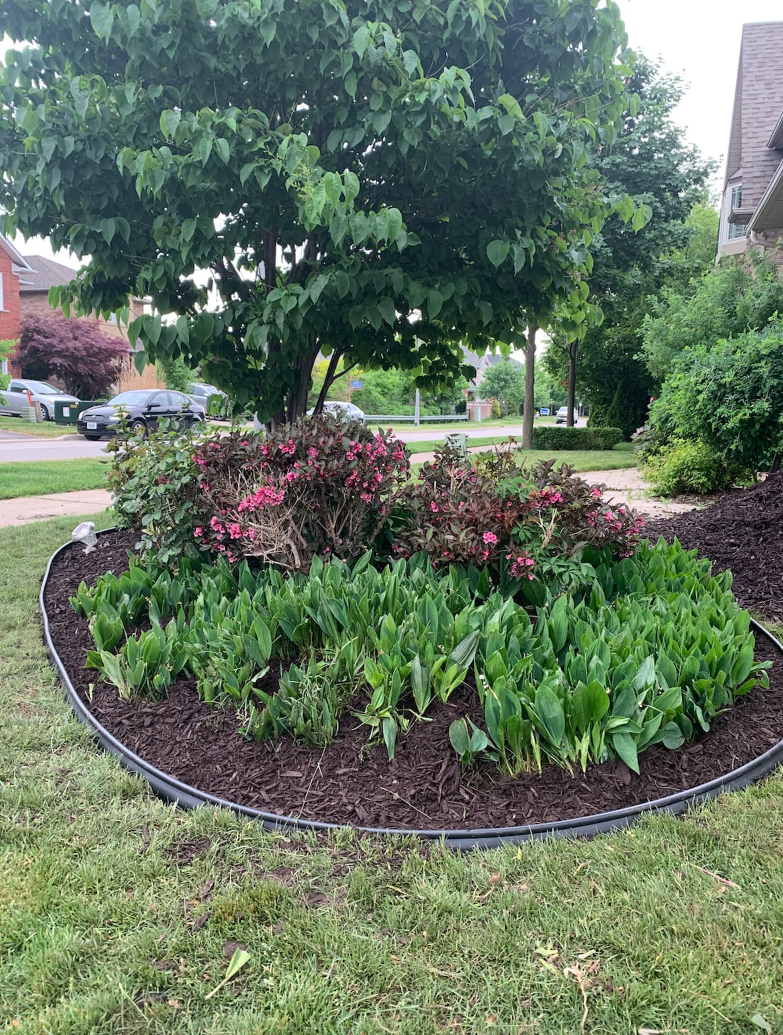 Photo credit: yellowpages.ca