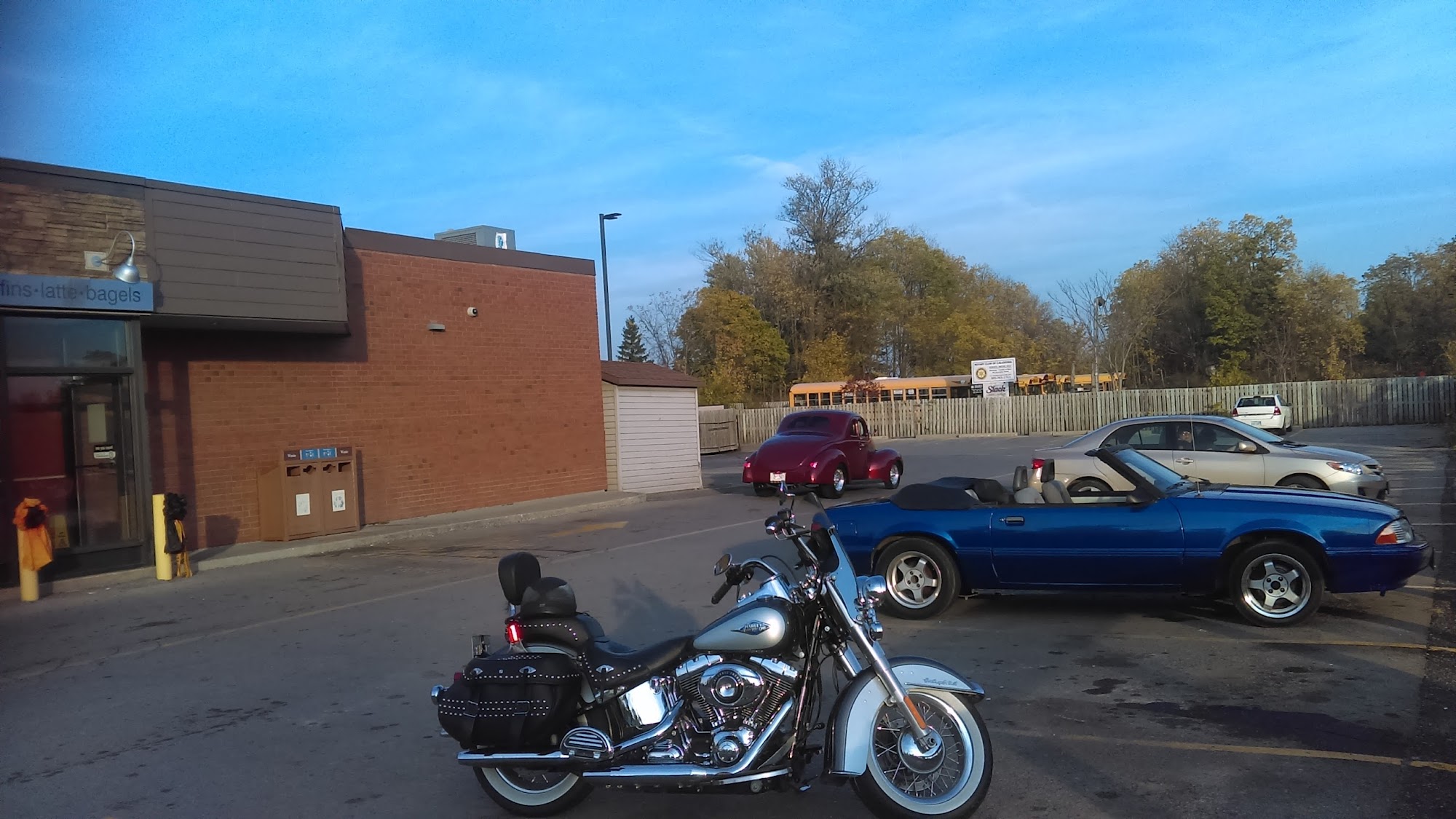 Tim Hortons