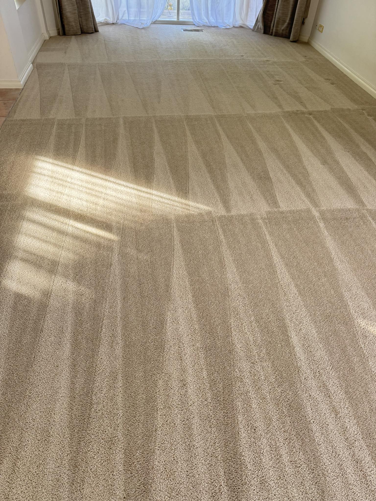 P & J Carpet Care