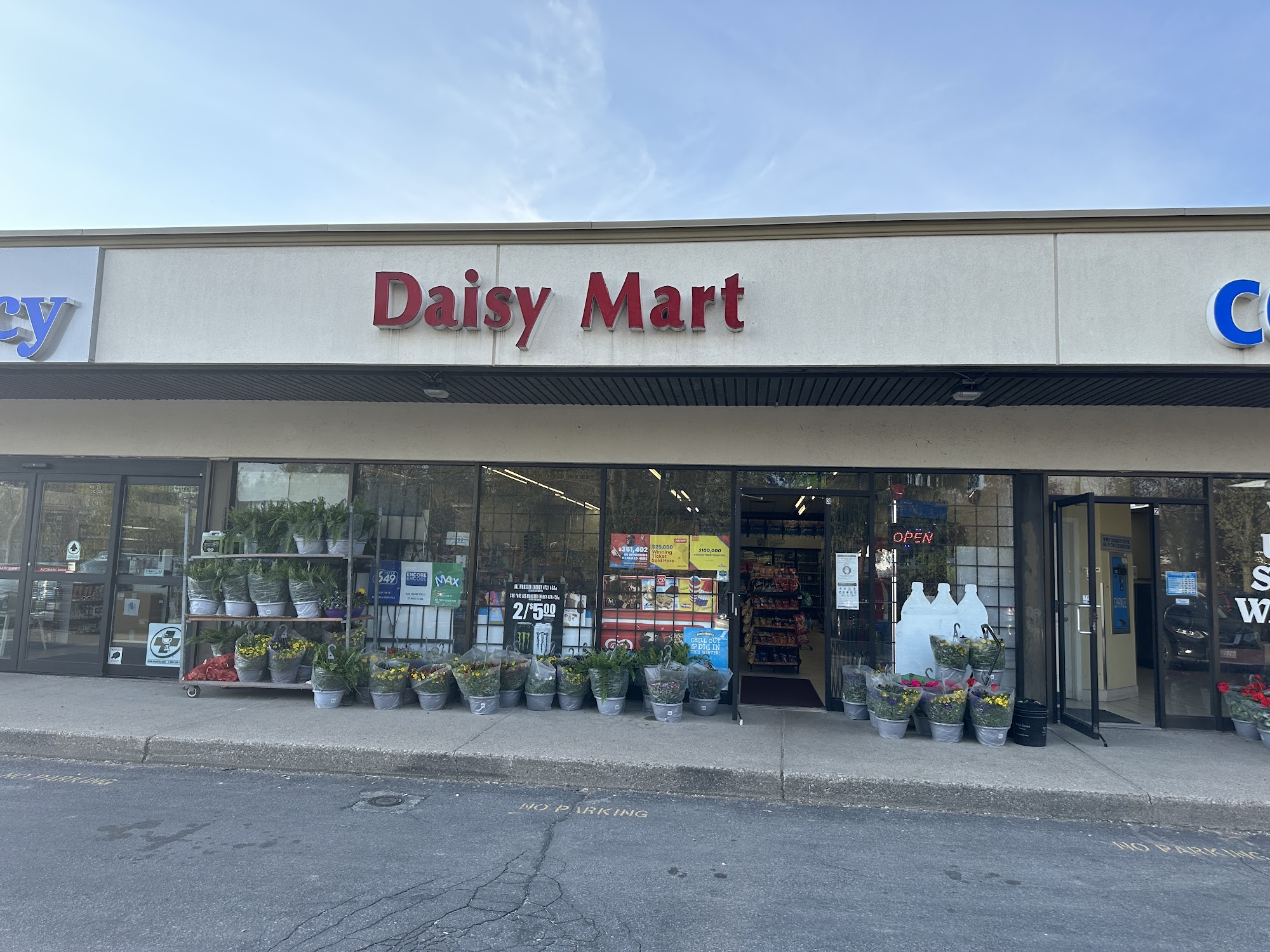 Daisy Mart Cambridge