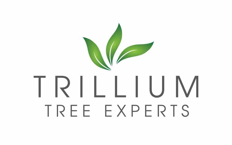 Trillium Tree Experts