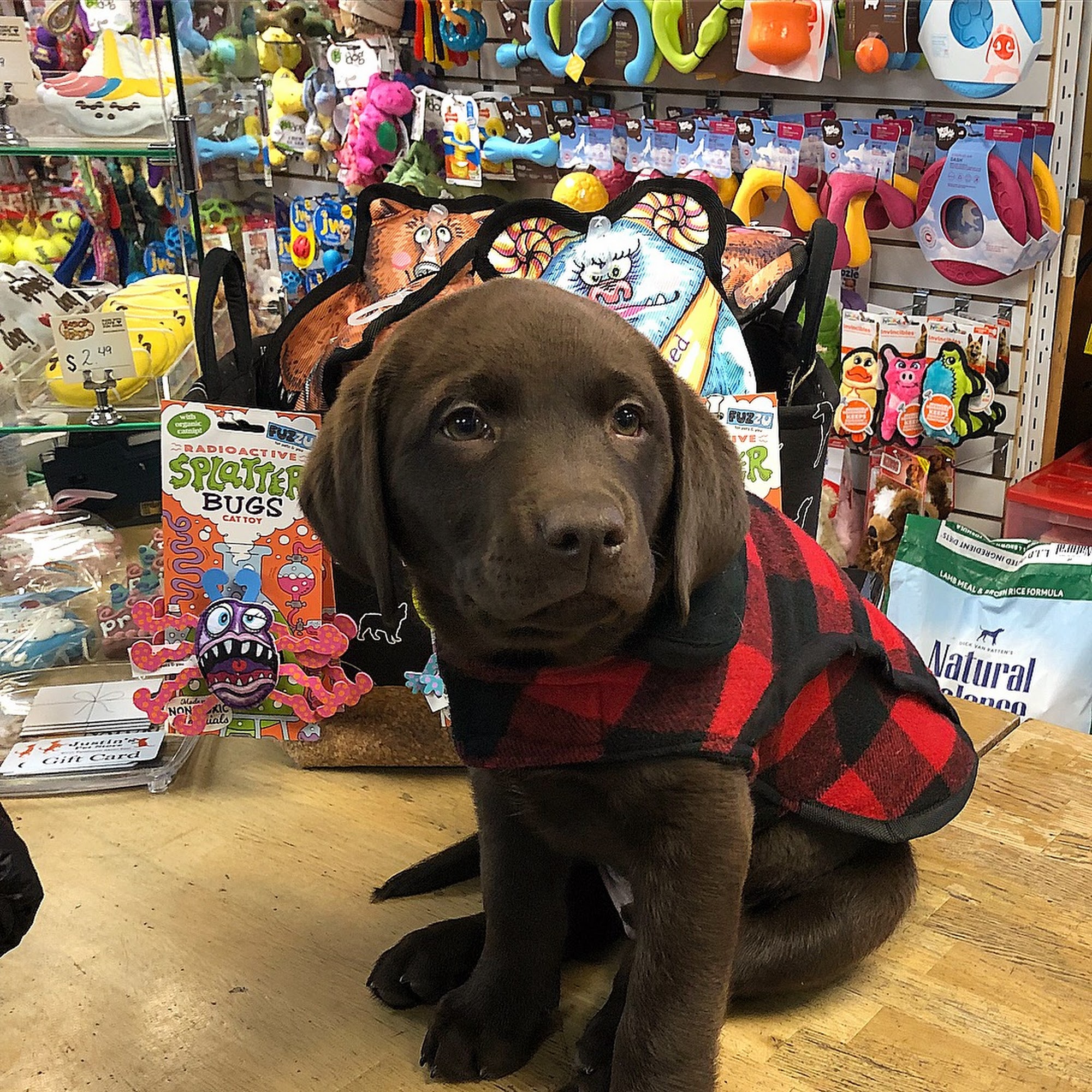Justin’s Pet Store Cobourg
