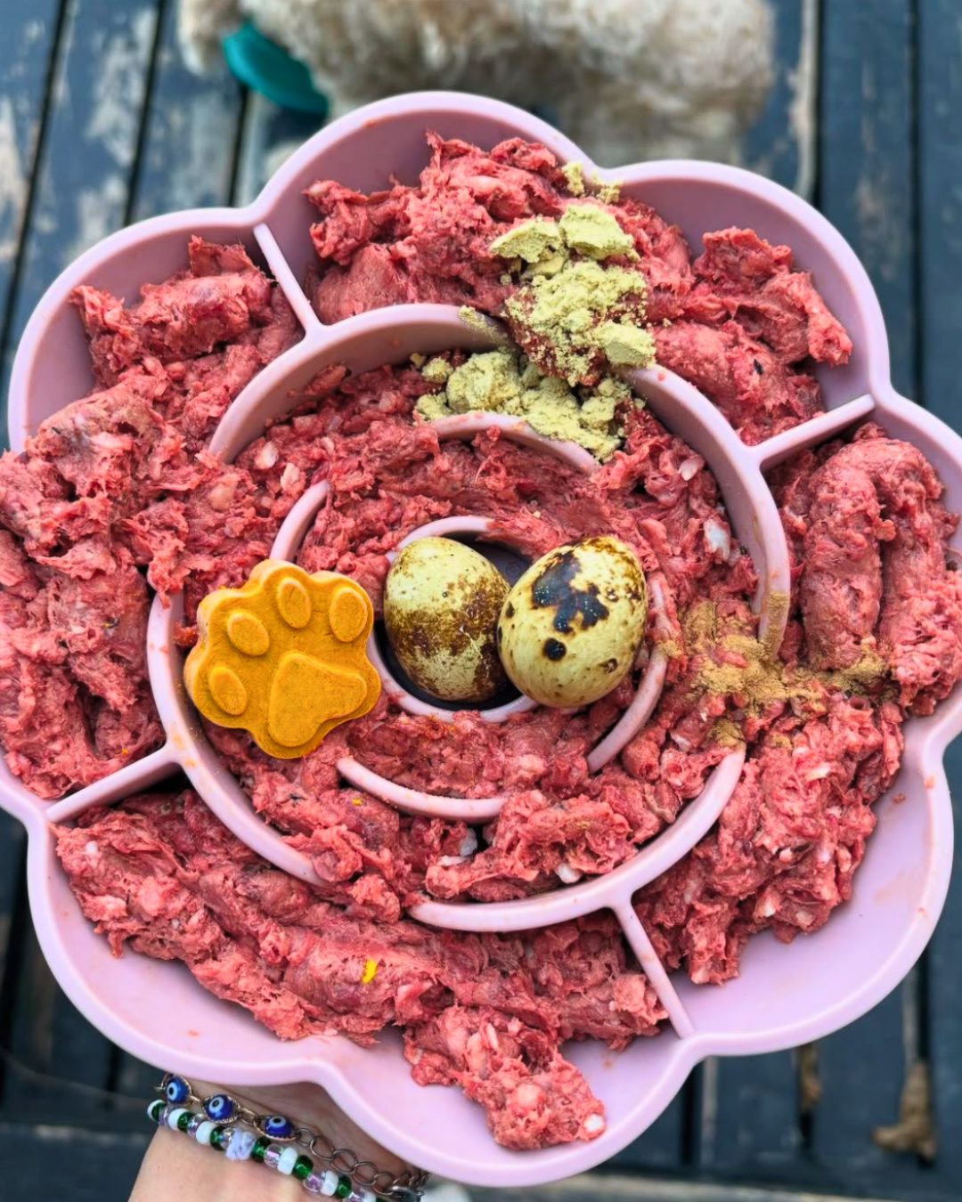 Raw 101 - Raw food for dogs and cats Cobourg