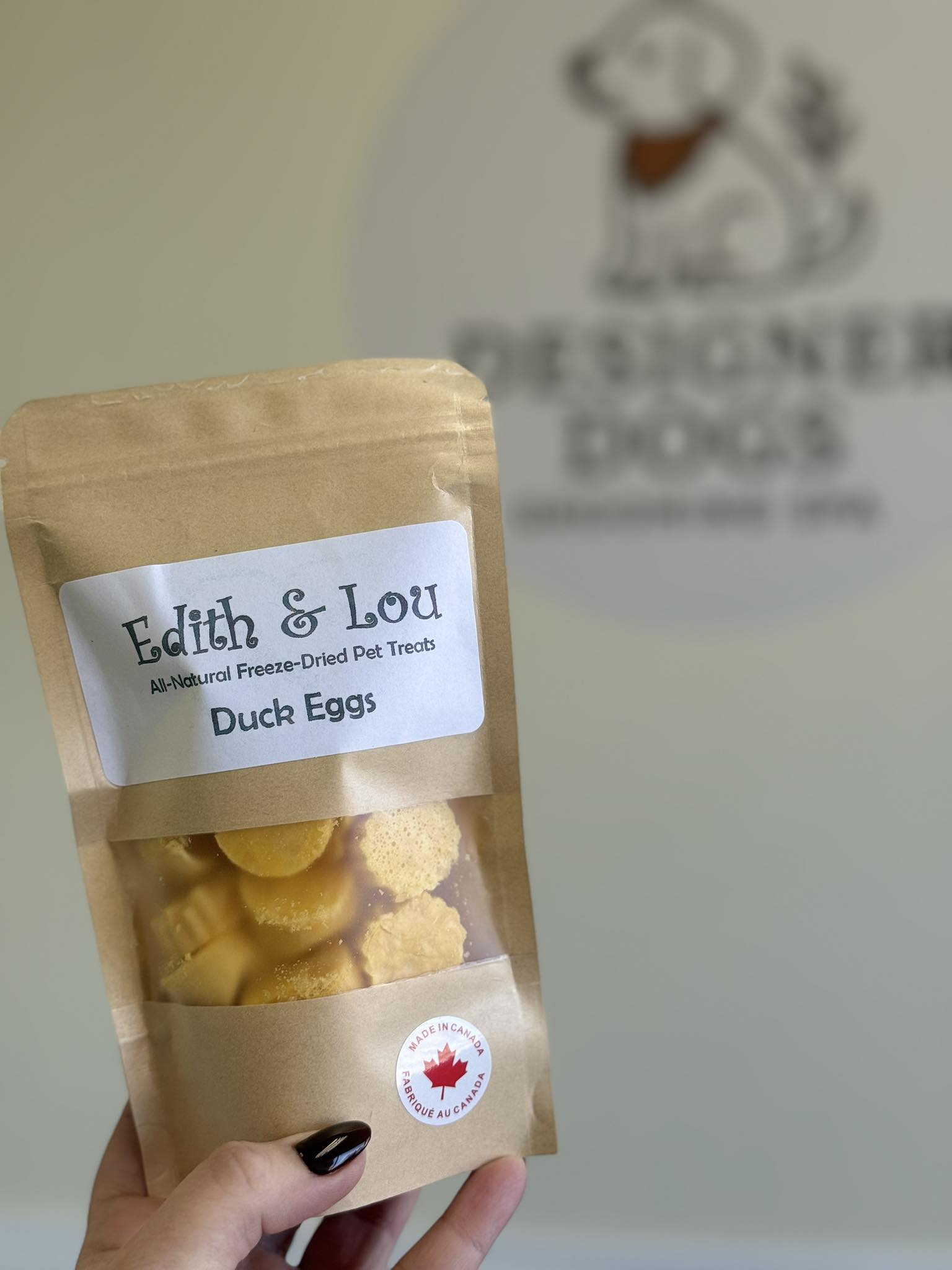 Designer Dogs Grooming Spa Cobourg