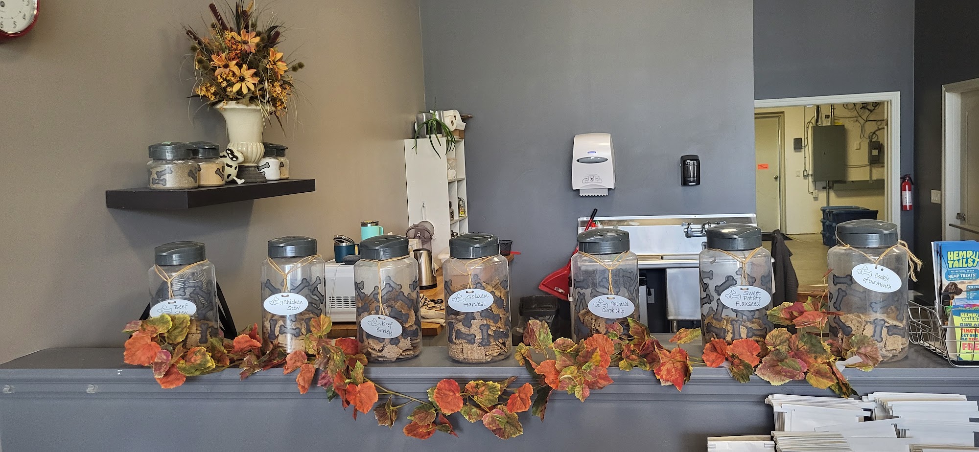 Dogs We Love Inc Collingwood