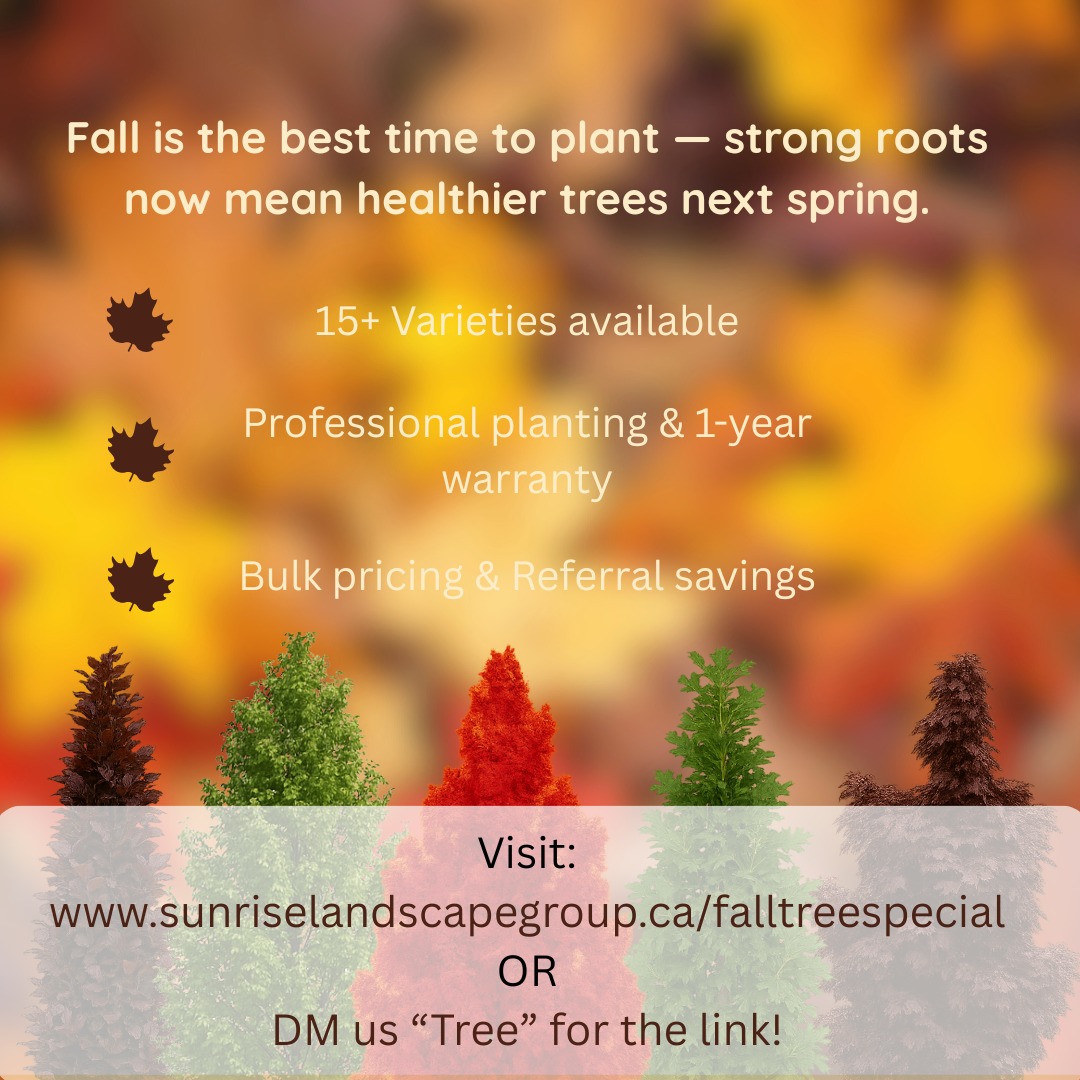 Sunrise Landscaping & Property Maintenance