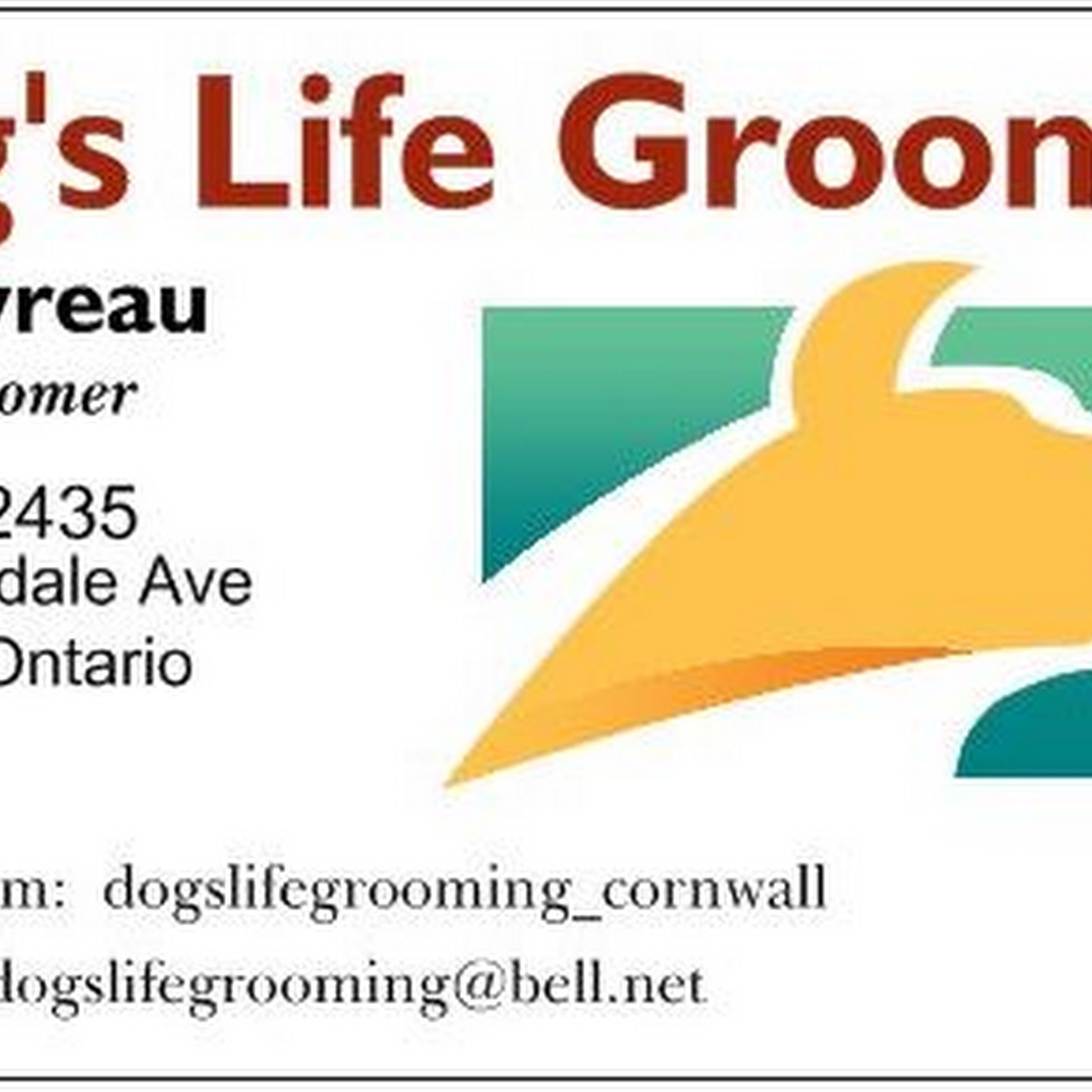 Dog's Life Grooming Cornwall