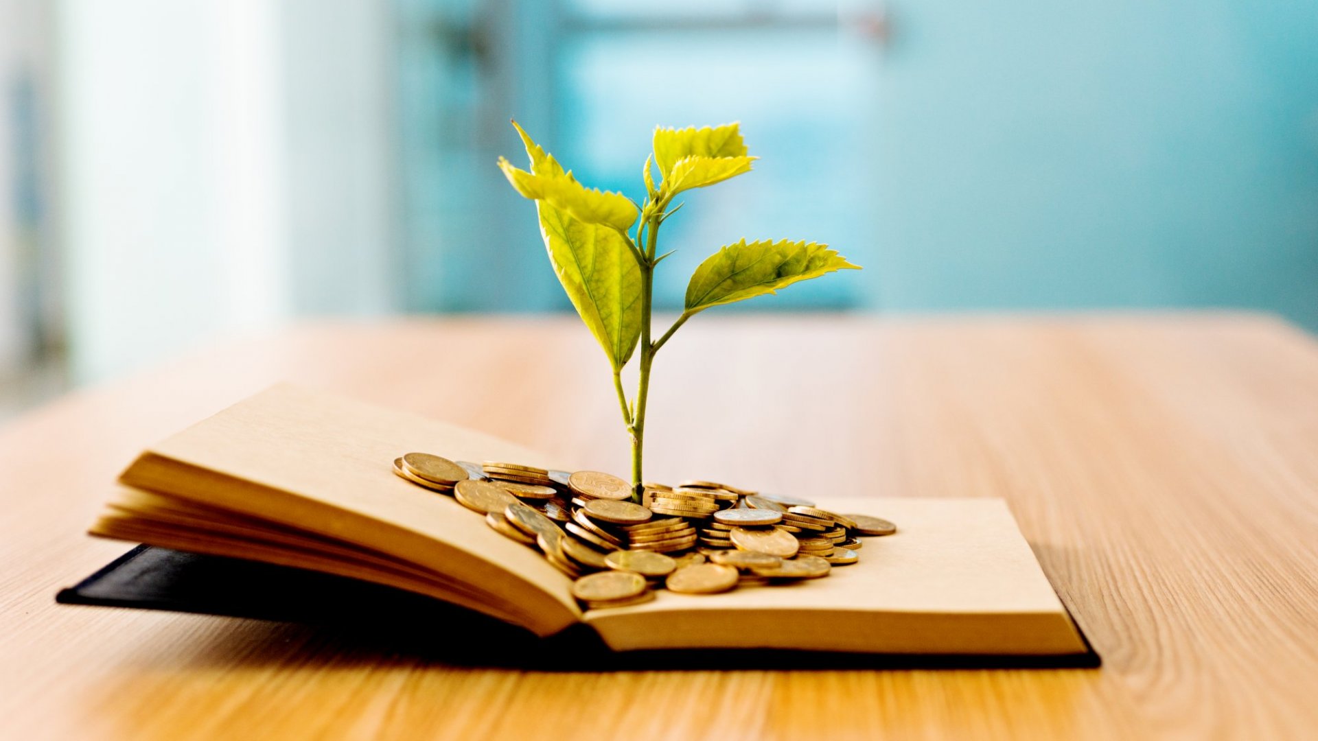 M. McDermid Insurance & Investments