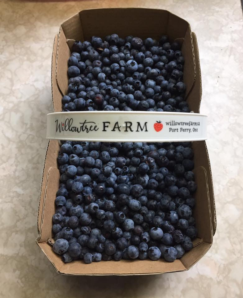 Howards Farm East Gwillimbury
