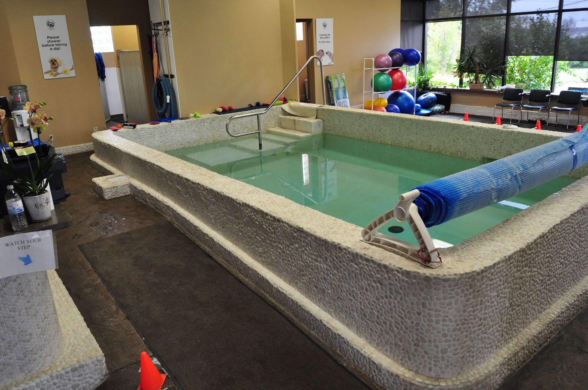 Essex Animal Hospital Essex