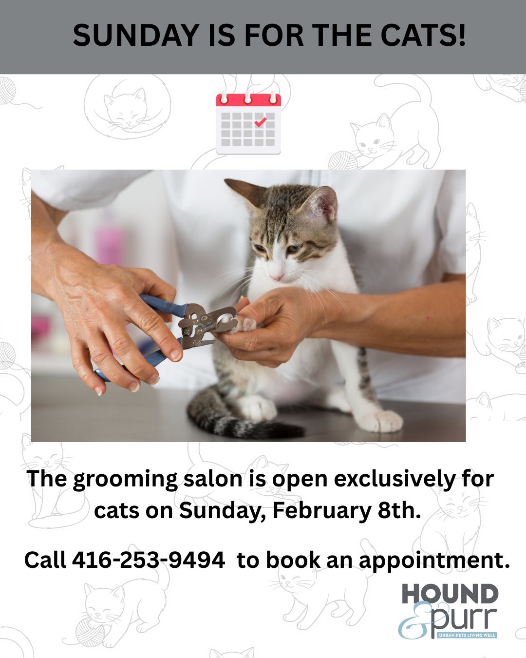 Hound & Purr Pet Grooming Spa Etobicoke