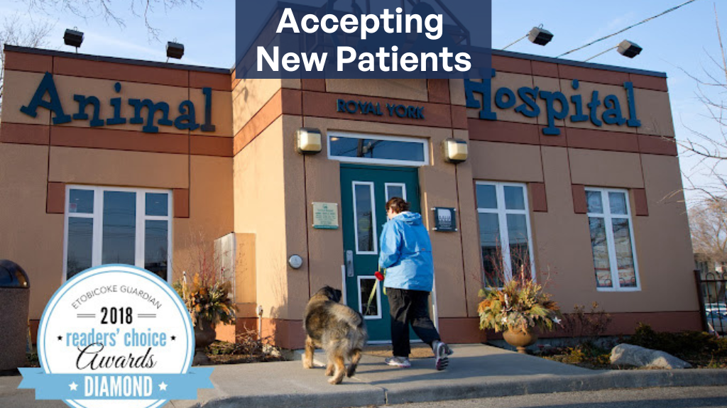 Royal York Animal Hospital Etobicoke