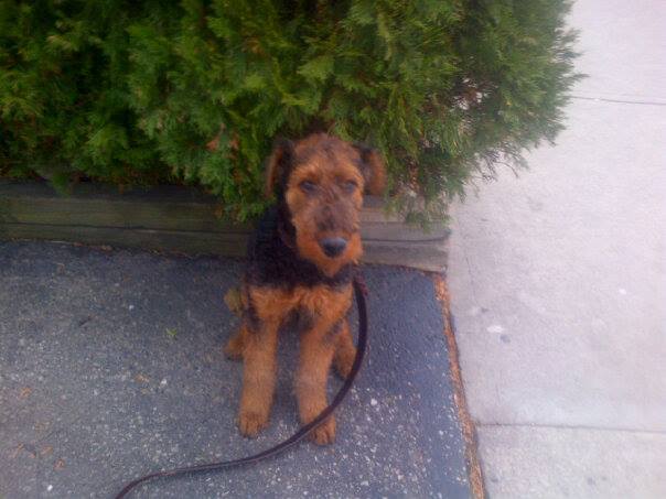 Making Life Simple For You Etobicoke