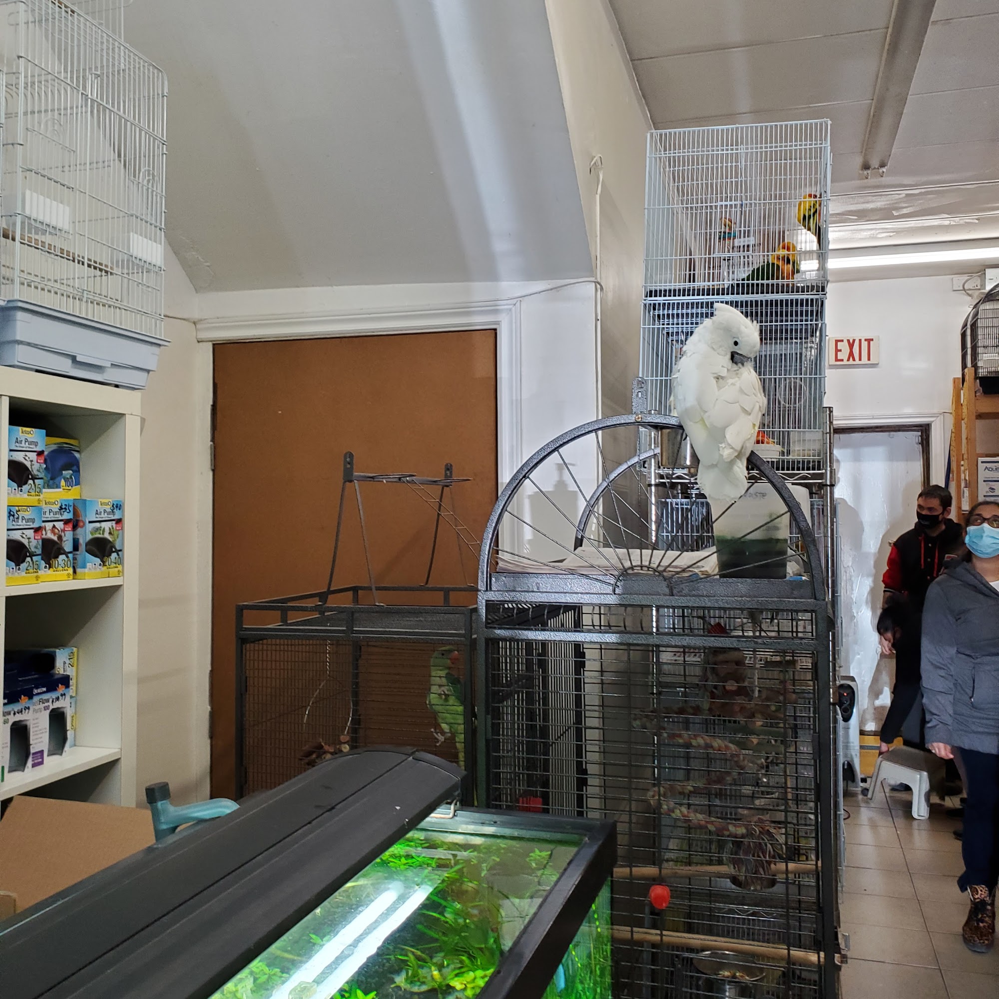 T T Aquarium&Pets Etobicoke