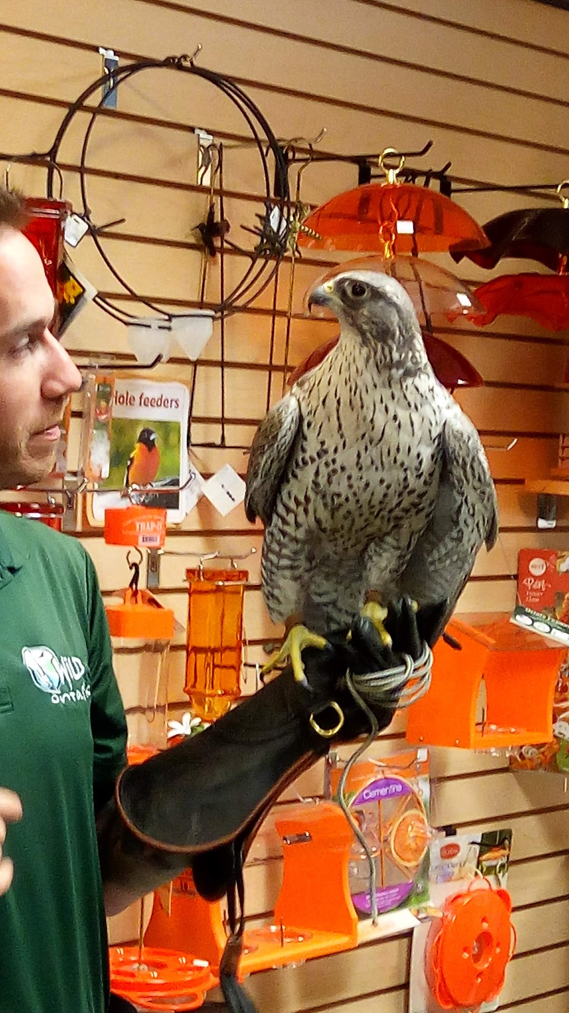 Wild Birds Unlimited Etobicoke