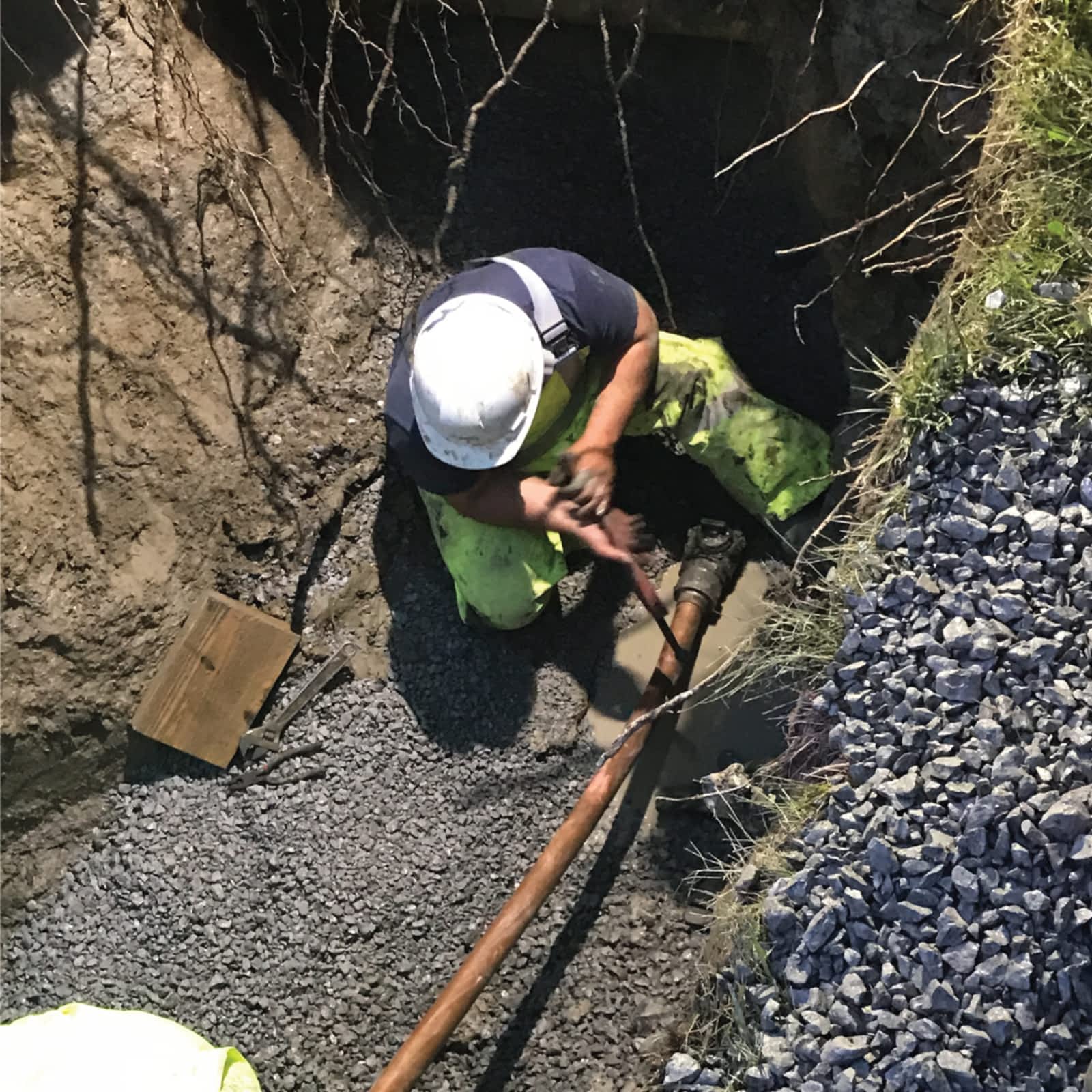 Photo credit: yellowpages.ca