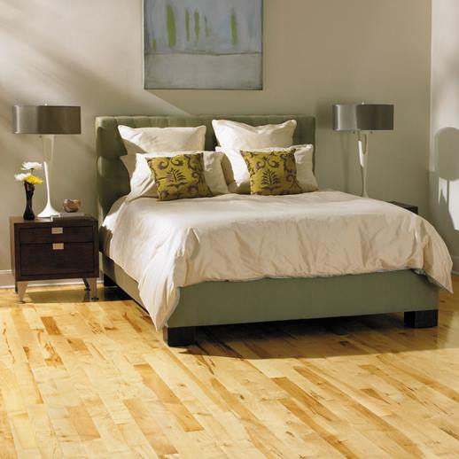 Hardwood Guys Carpet Clean