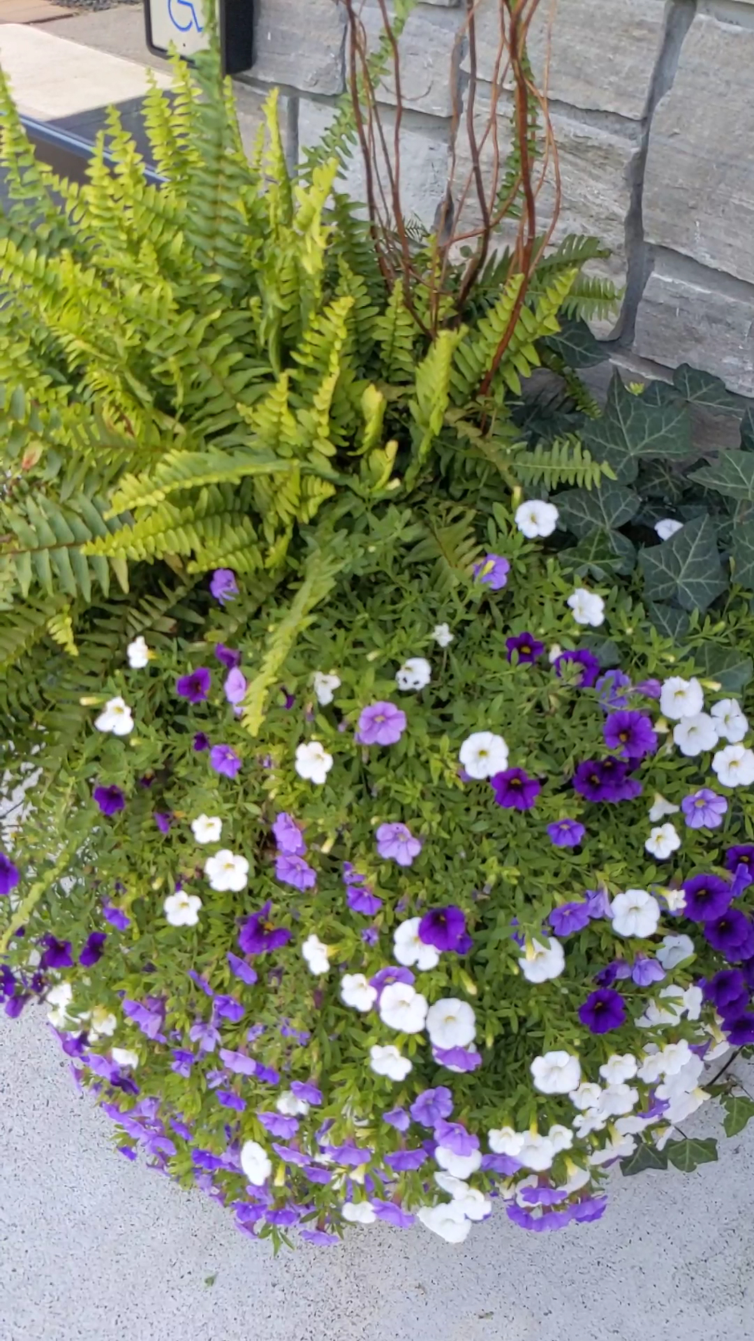 Main St. Market Menu