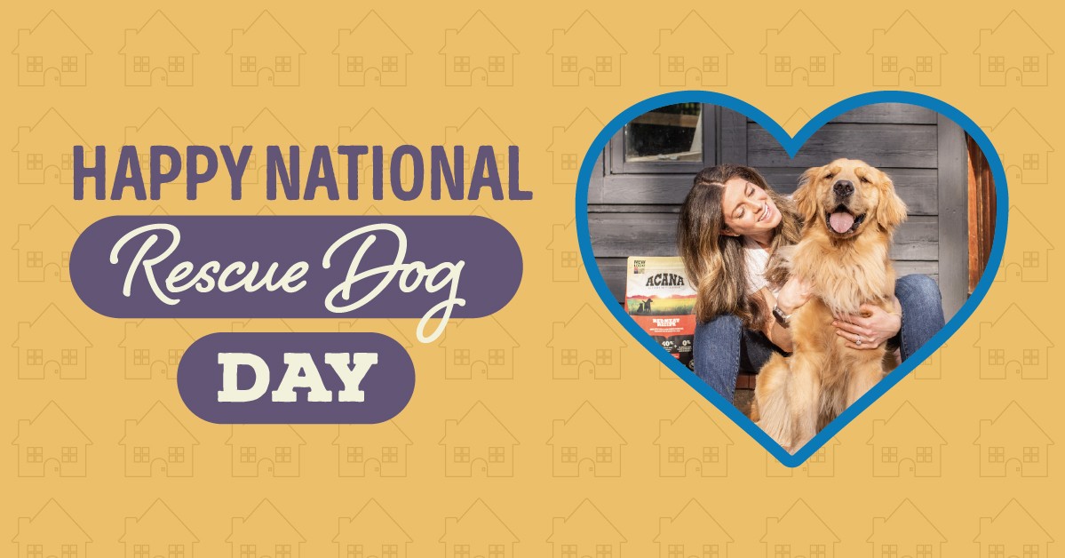 TLC Grooming & Sharpening Services Gloucester