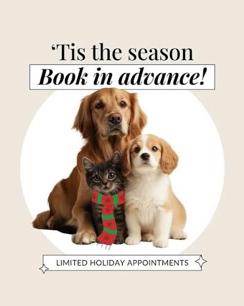 Spaw Pet Grooming Gloucester